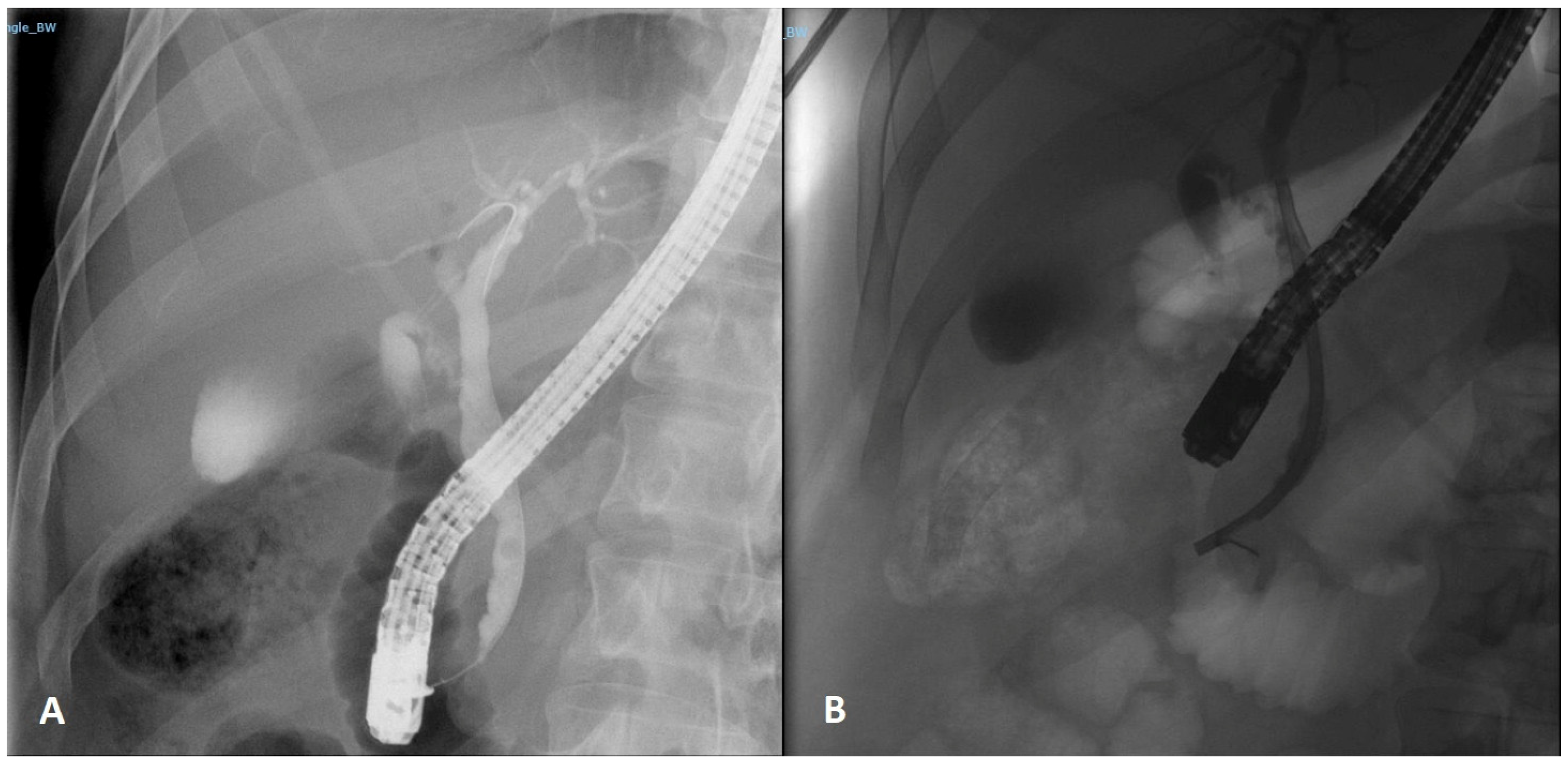 Life 13 00597 g001 Life 13 00597 g001