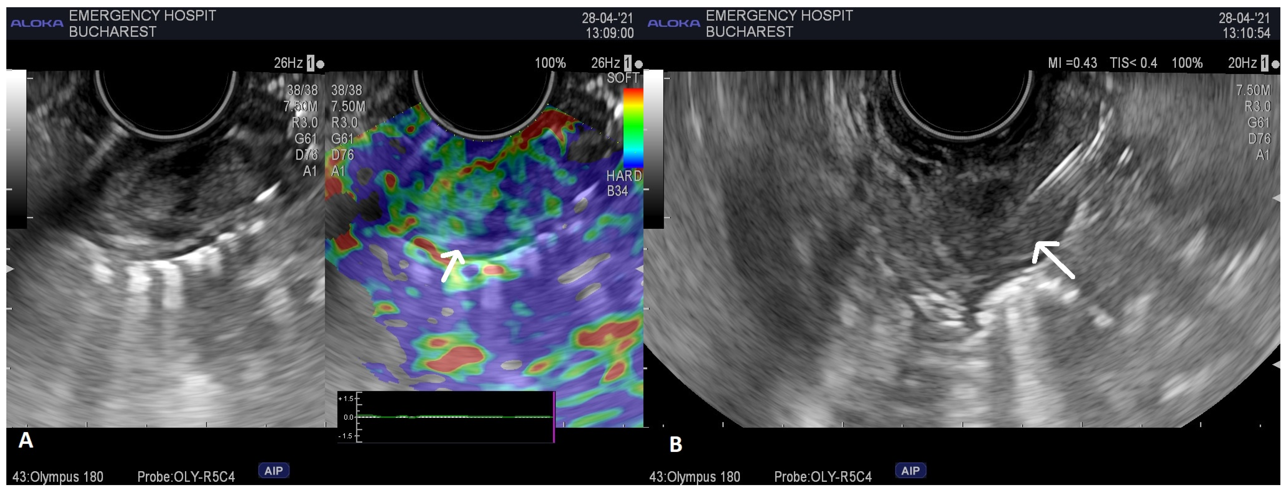 Life 13 00597 g002 Life 13 00597 g002