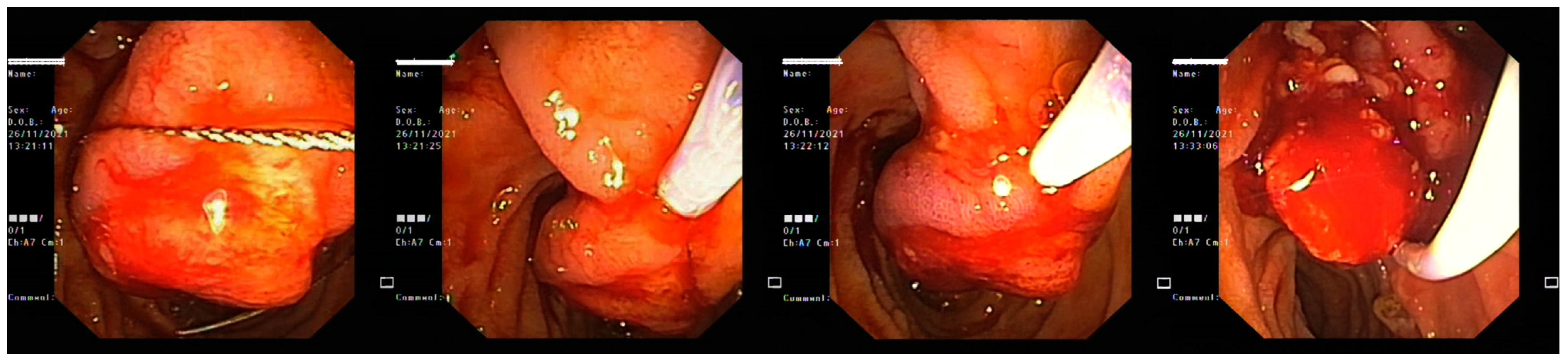 Life 13 00597 g007 Life 13 00597 g007