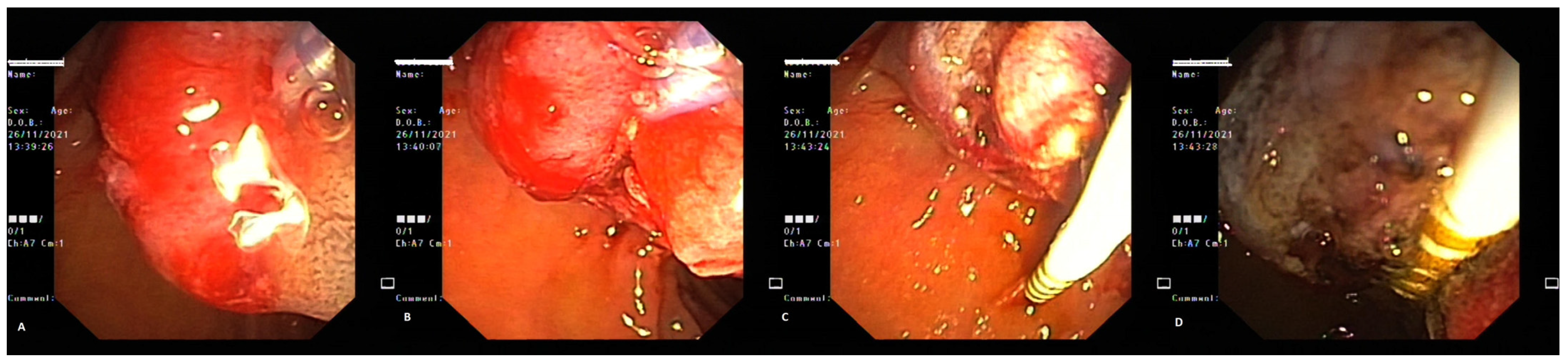 Life 13 00597 g008 Life 13 00597 g008