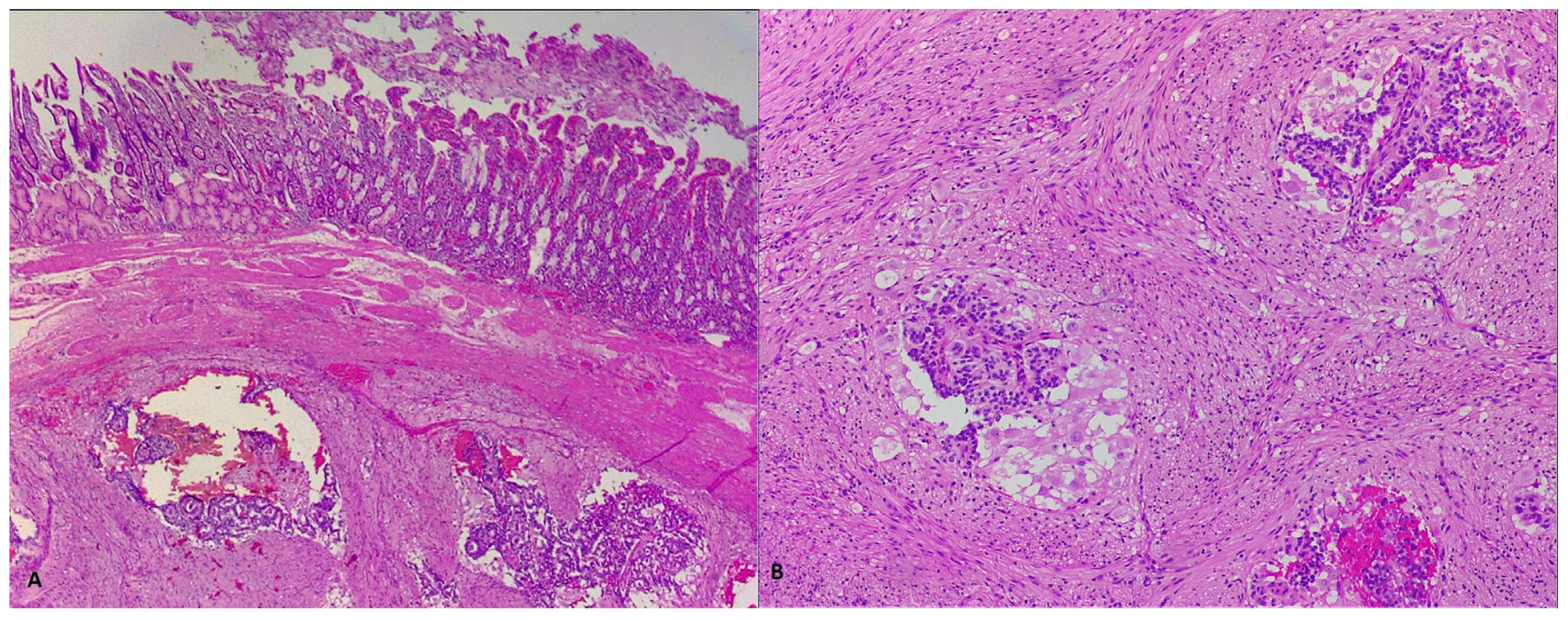 Life 13 00597 g009 Life 13 00597 g009