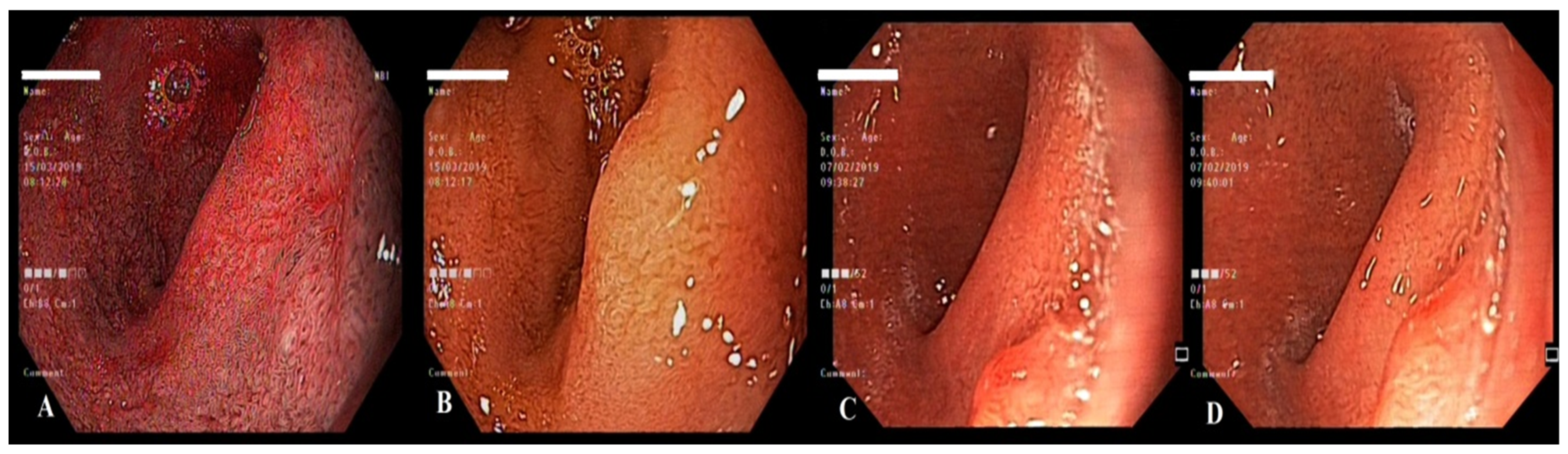 Life 13 00597 g011 Life 13 00597 g011