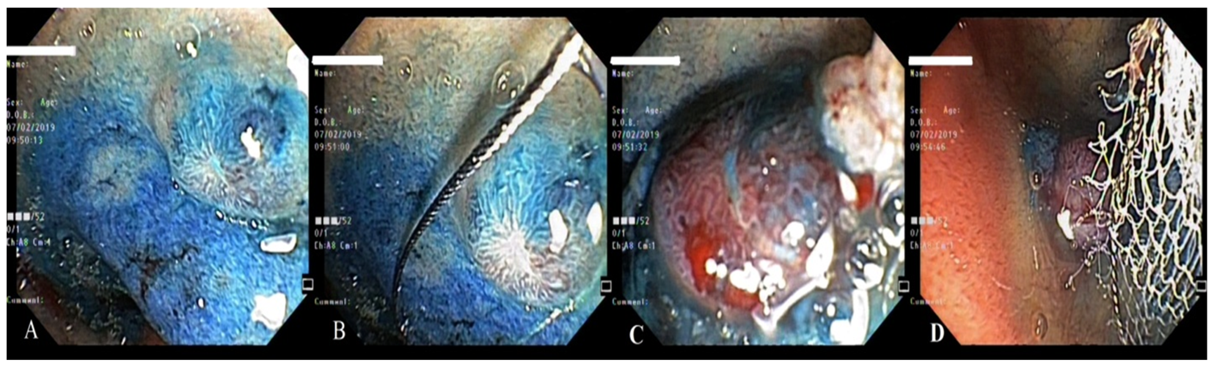 Life 13 00597 g012 Life 13 00597 g012