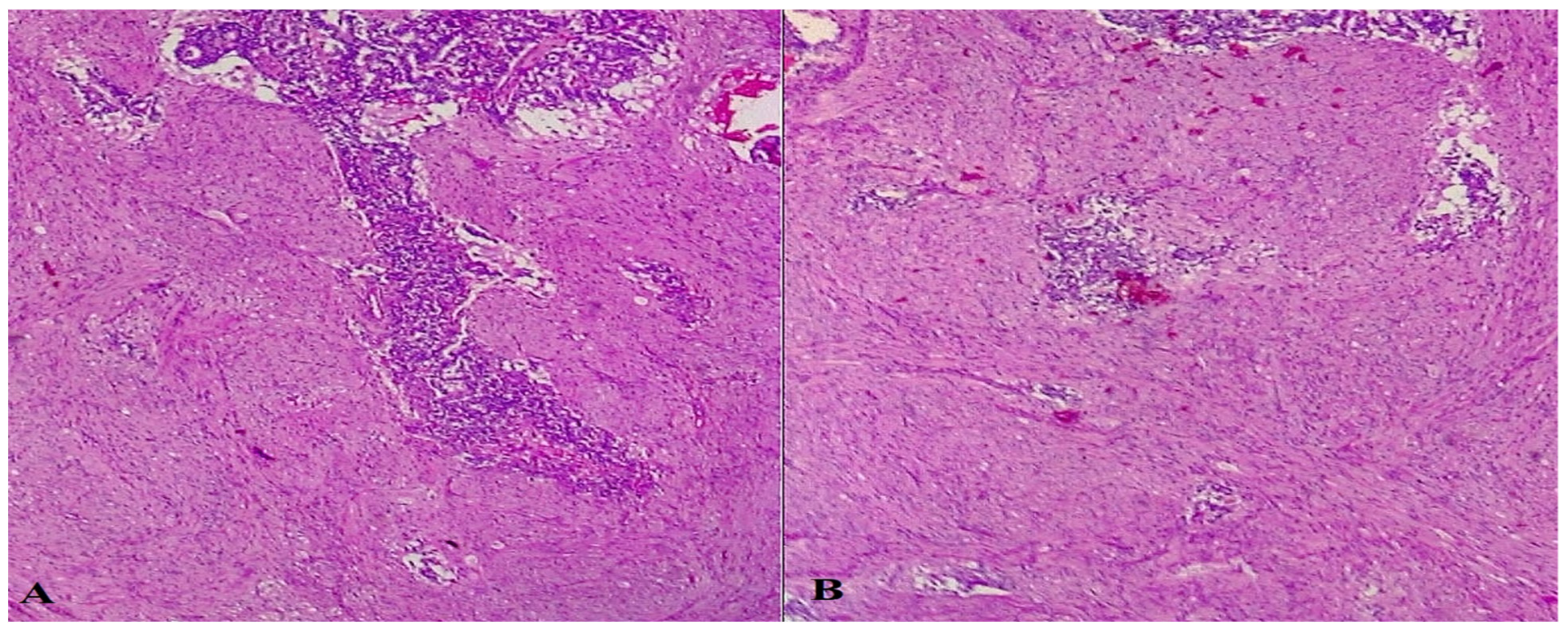 Life 13 00597 g013 Life 13 00597 g013