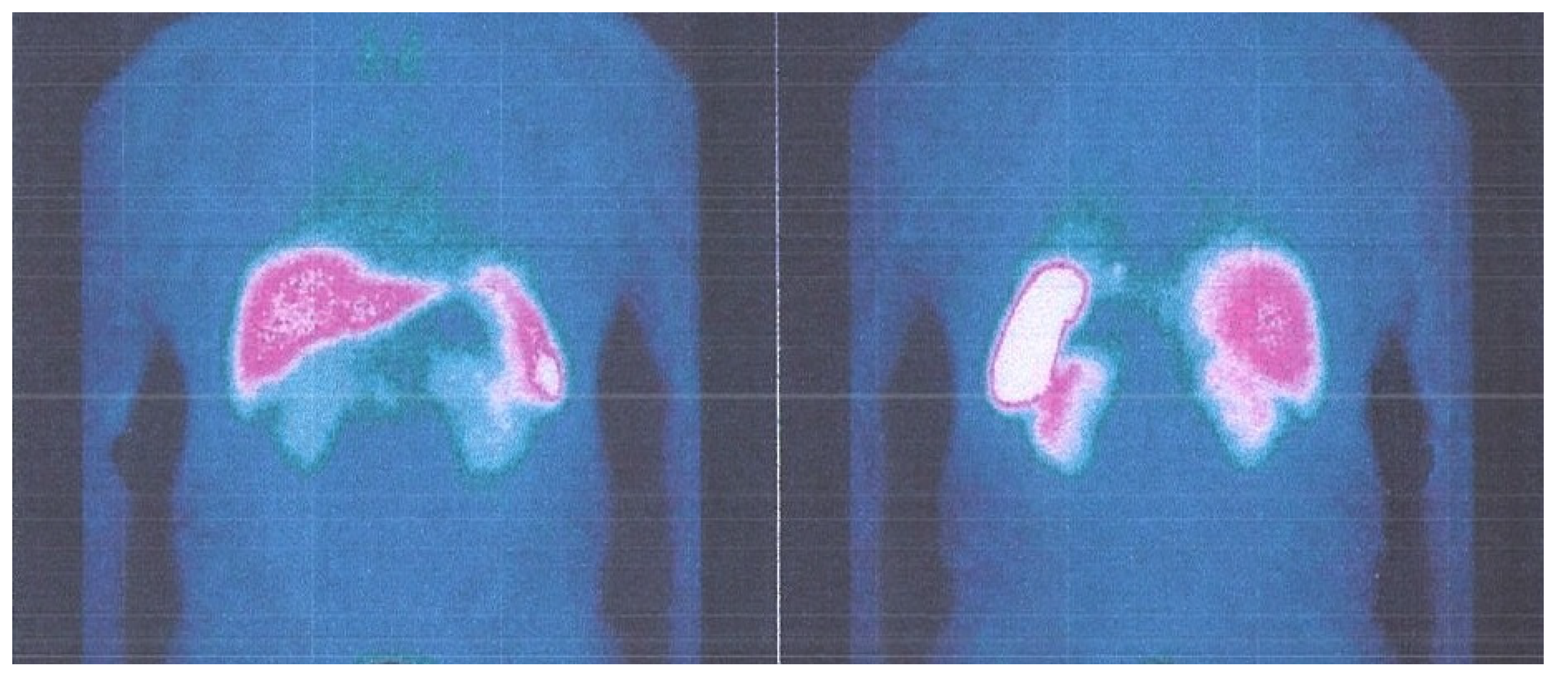 Life 13 00597 g014 Life 13 00597 g014