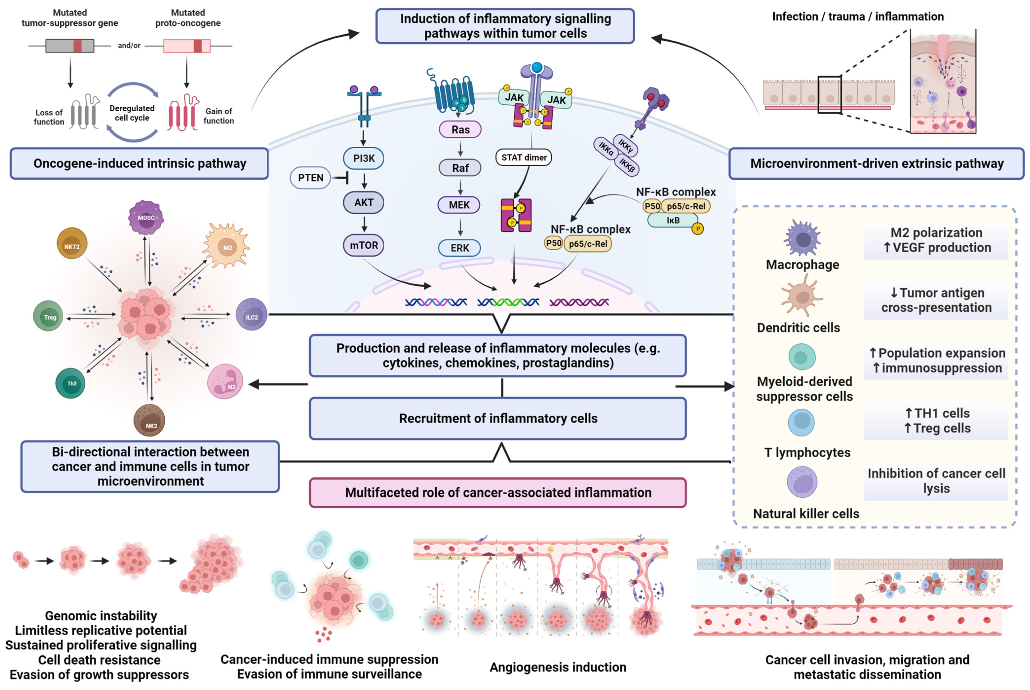 Life 13 00600 g001 Life 13 00600 g001