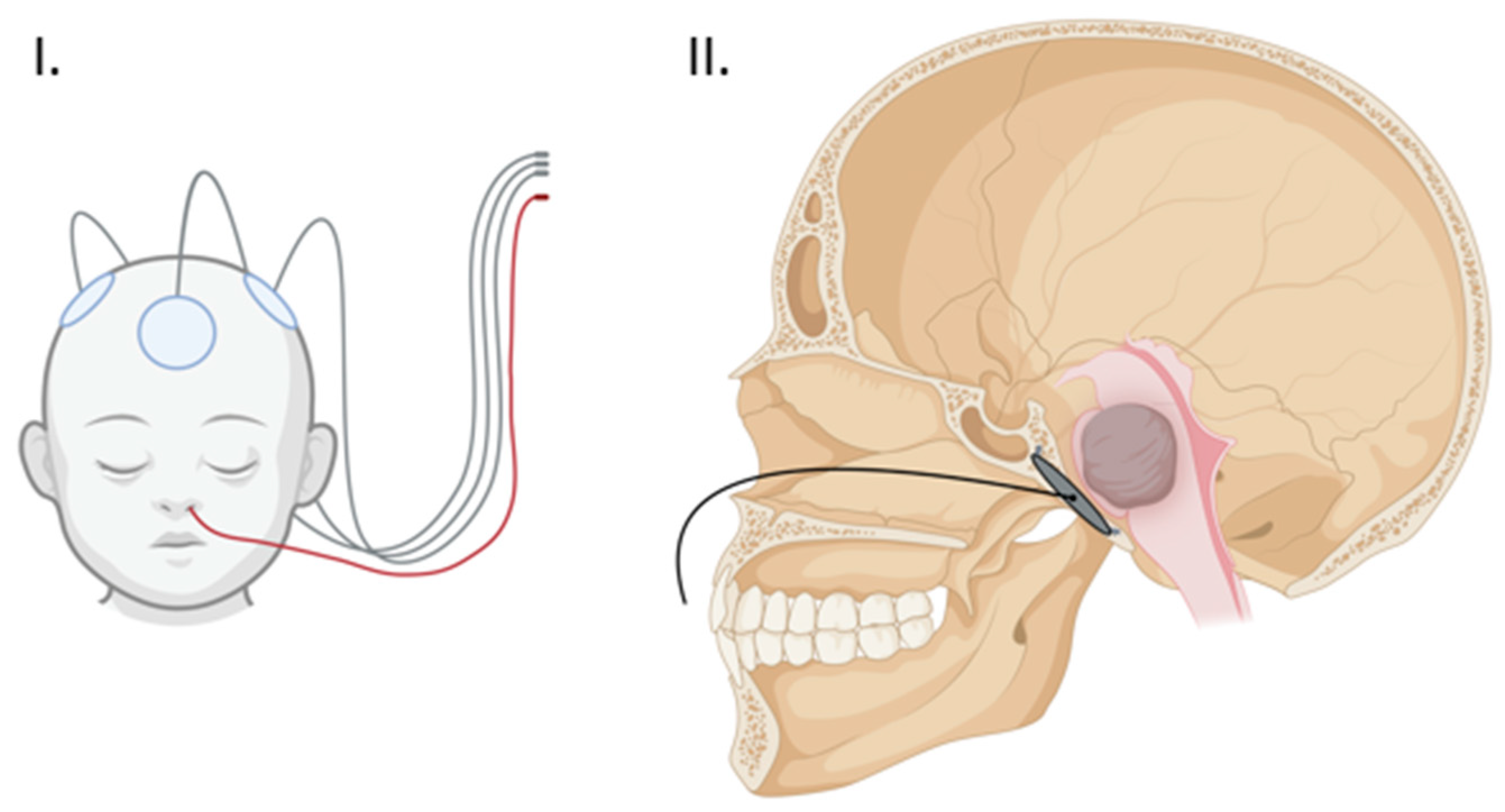 Life 13 00601 g002 Life 13 00601 g002