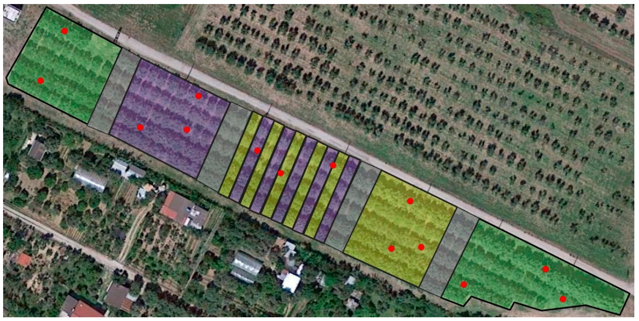 Life 13 00607 g001 Life 13 00607 g001