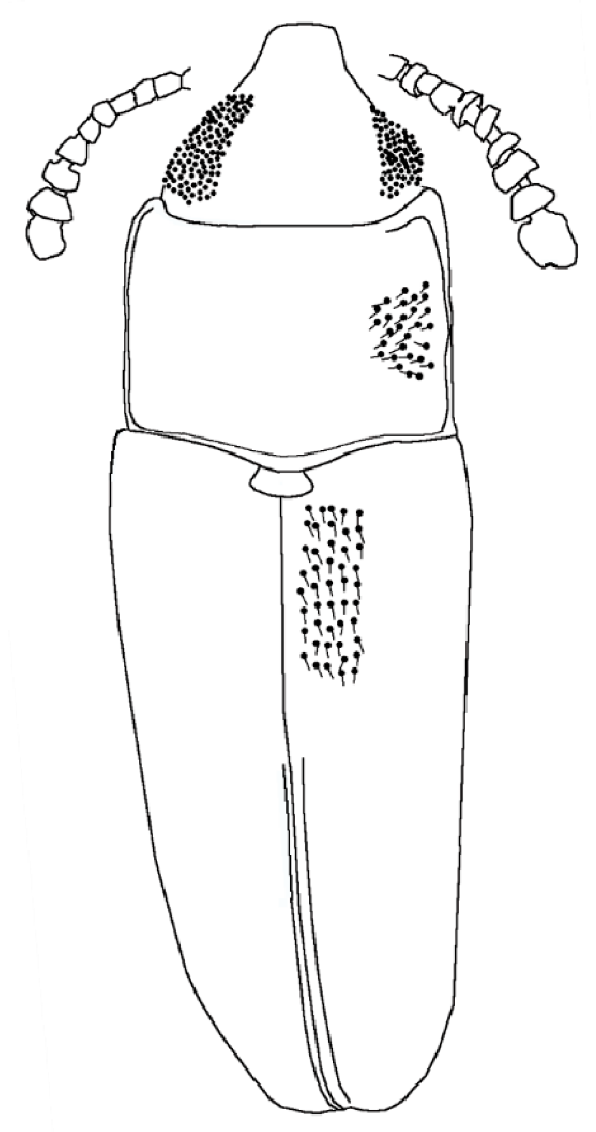 Life 13 00636 g004 Life 13 00636 g004