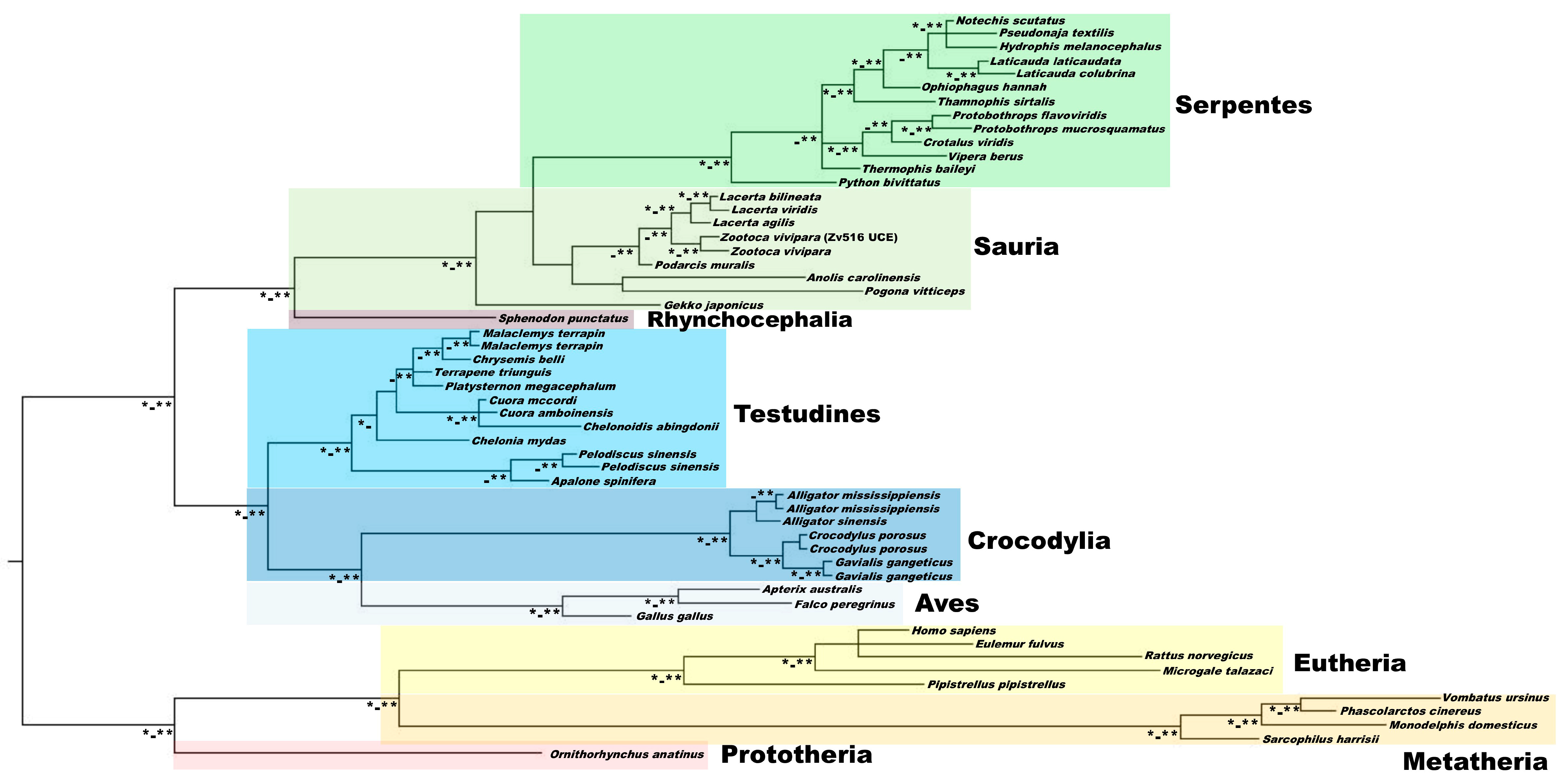 Life 13 00637 g004 Life 13 00637 g004
