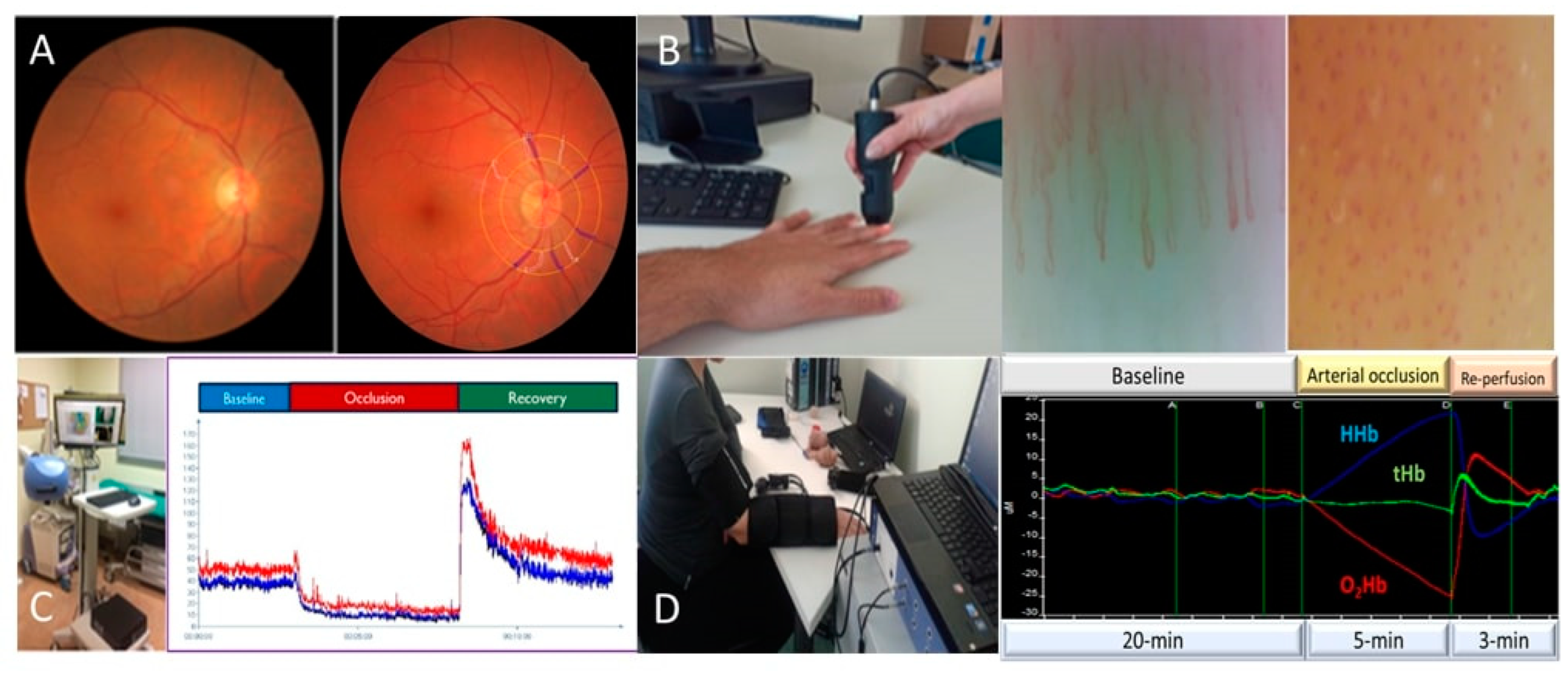 Life 13 00644 g001 Life 13 00644 g001