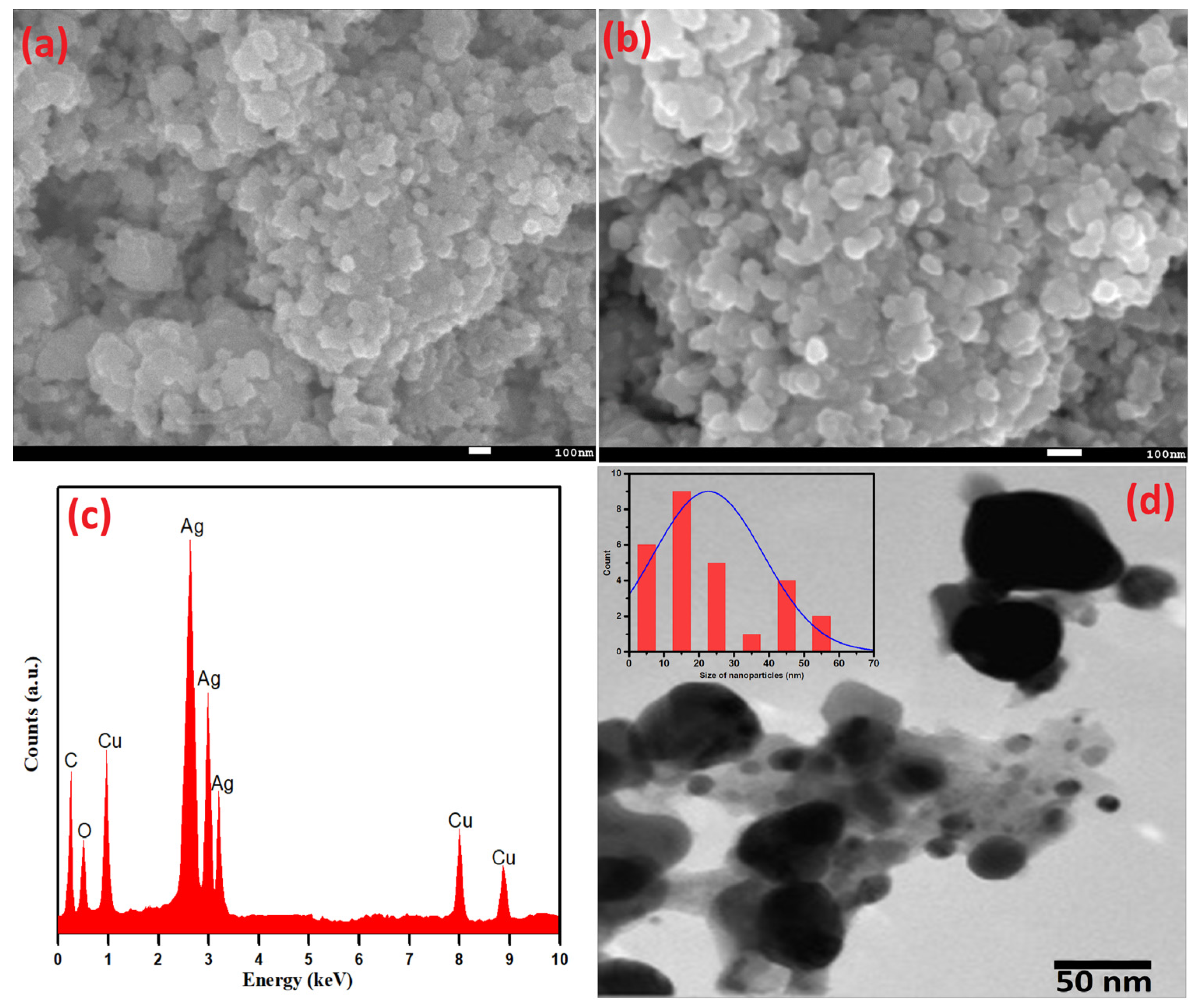 Life 13 00653 g004 Life 13 00653 g004