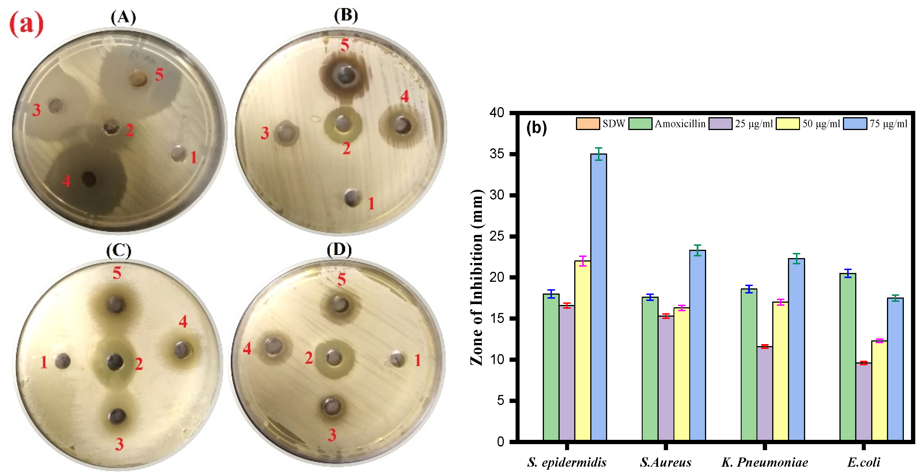 Life 13 00653 g005 Life 13 00653 g005