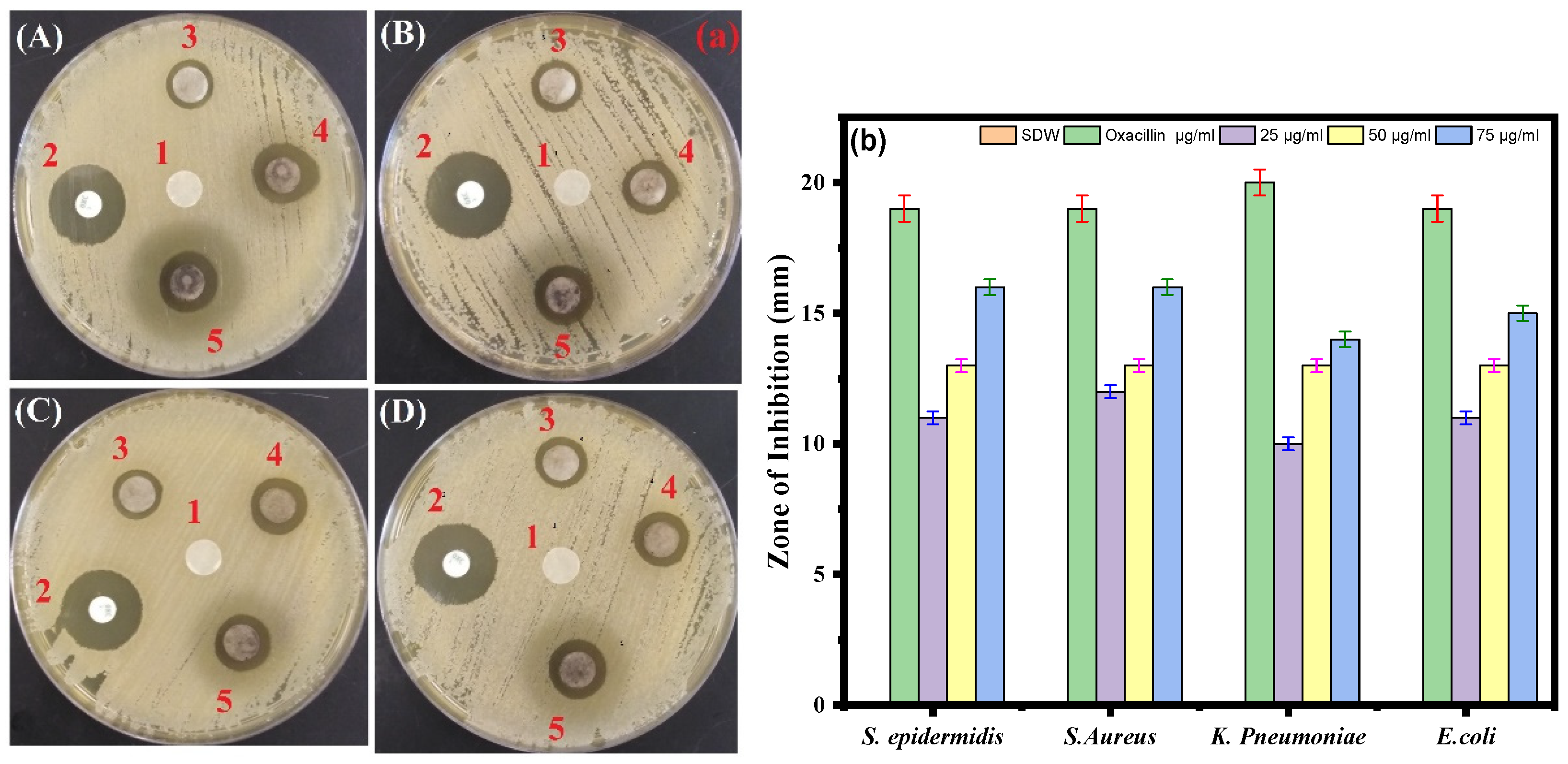 Life 13 00653 g006 Life 13 00653 g006