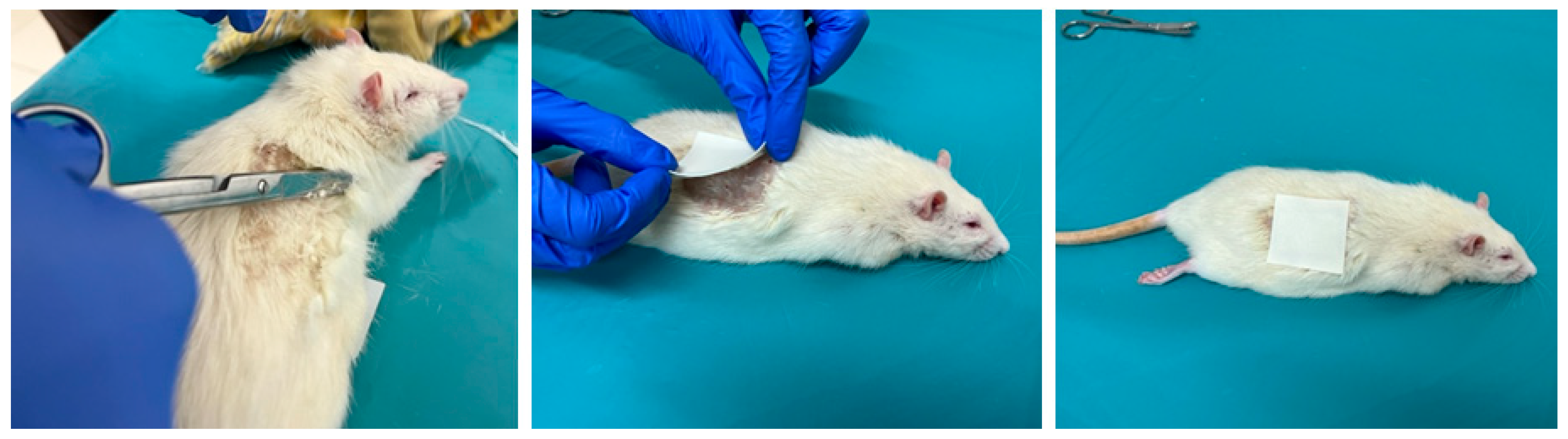 Life 13 00658 g003 Life 13 00658 g003