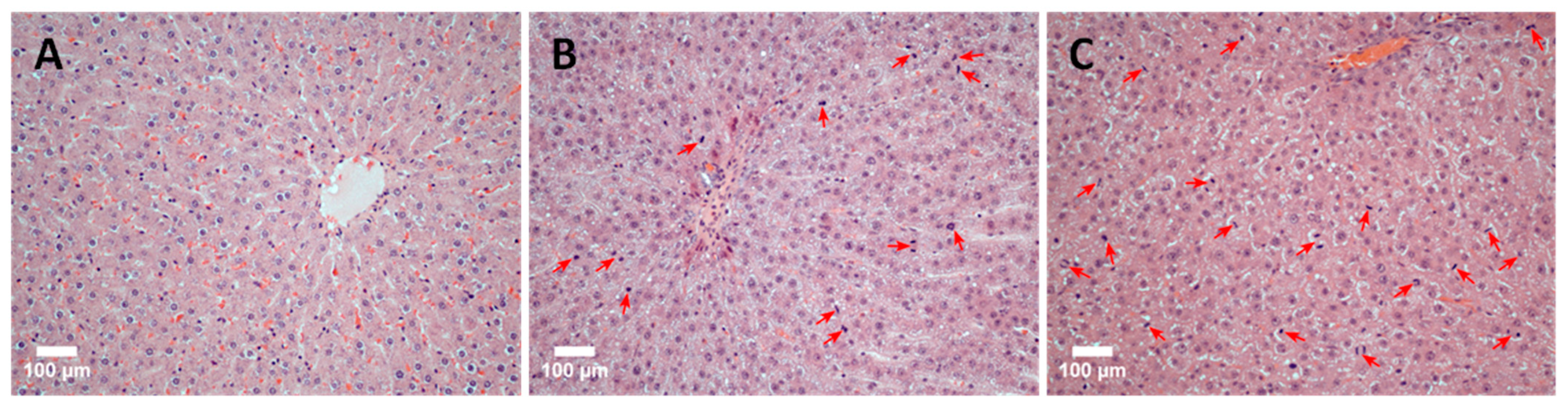 Life 13 00658 g005 Life 13 00658 g005