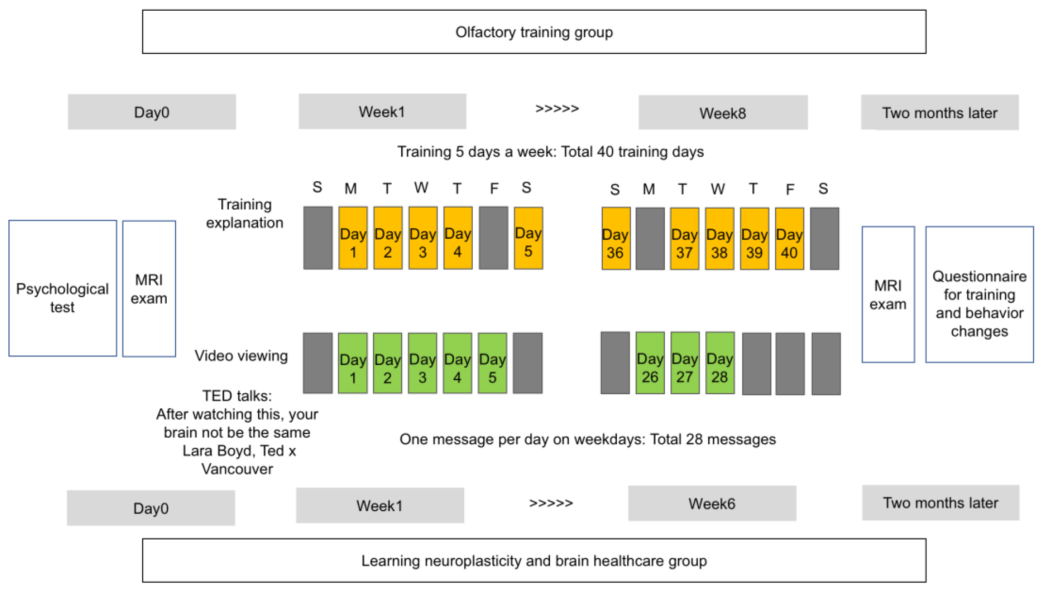 Life 13 00667 g002 Life 13 00667 g002