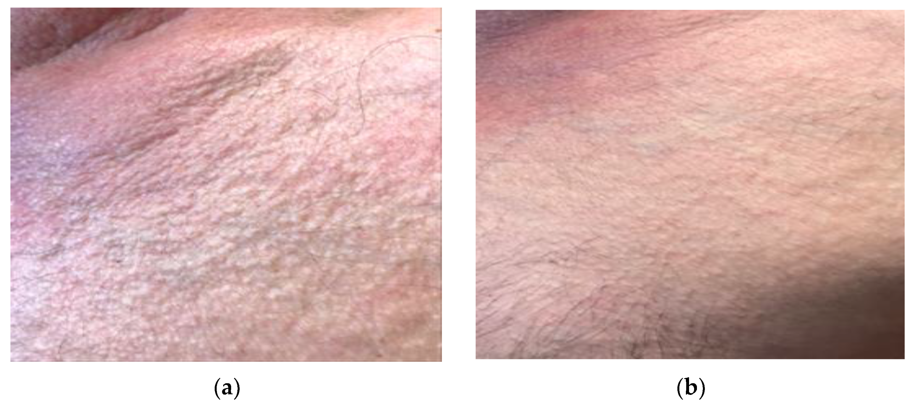 Life 13 00669 g005 Life 13 00669 g005