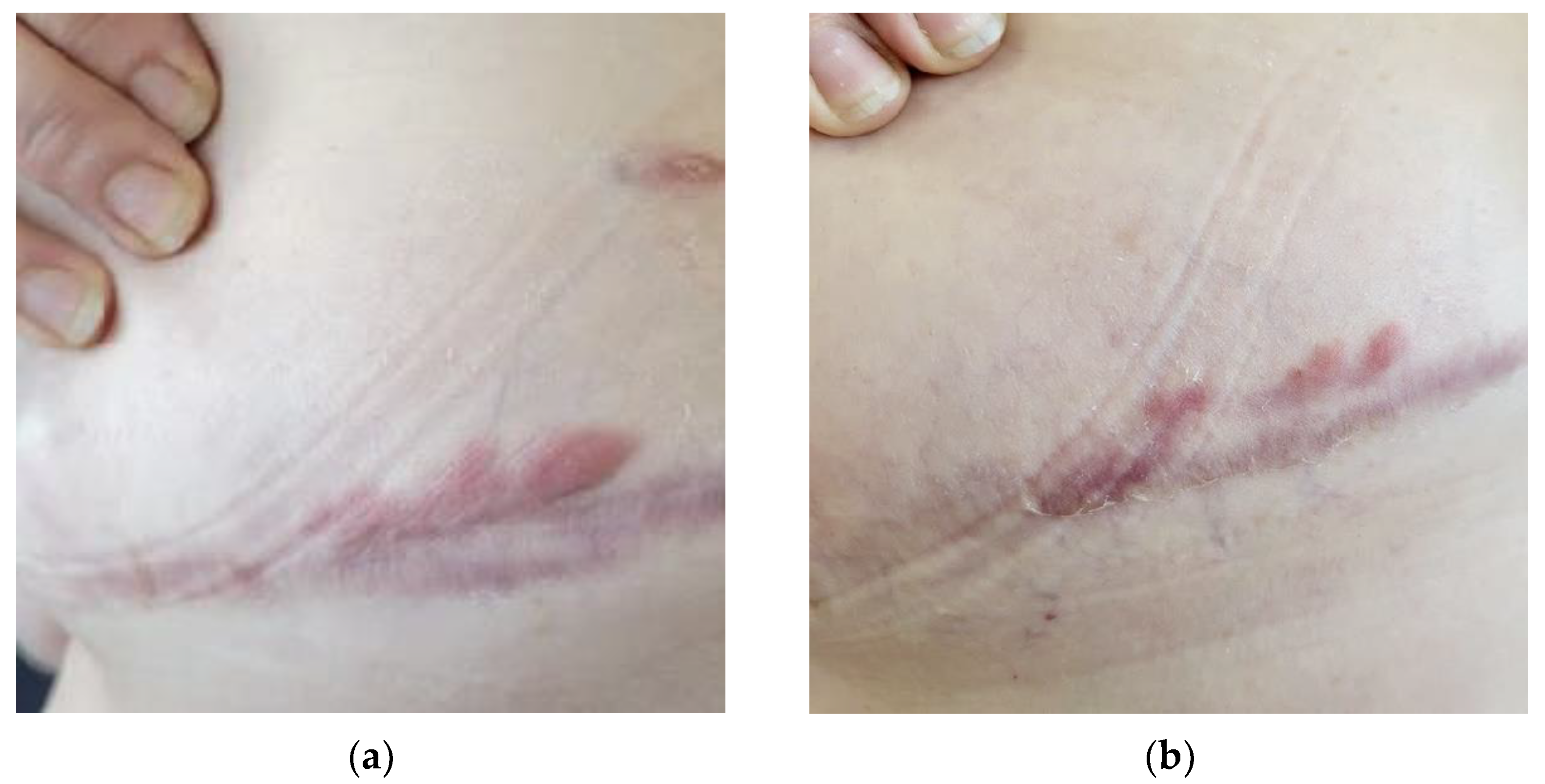 Life 13 00669 g006 Life 13 00669 g006