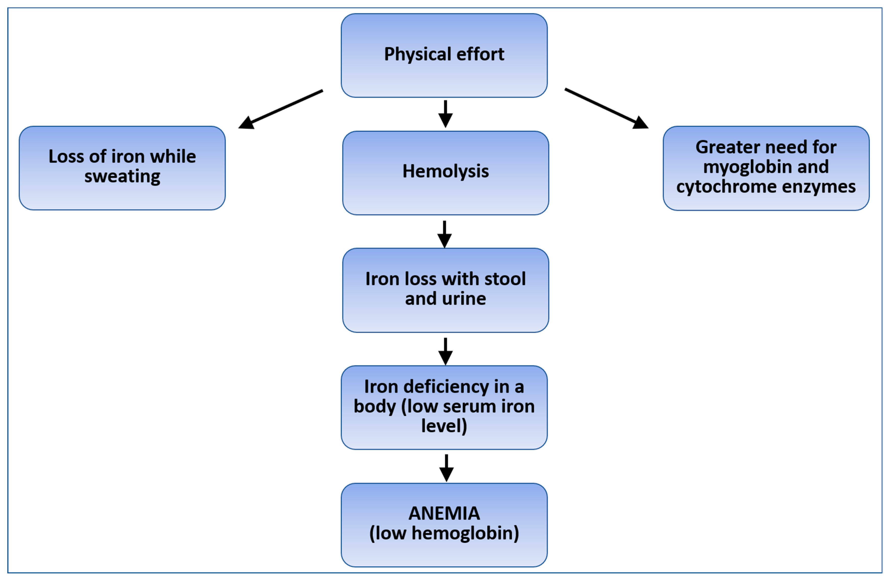 Life Free Full Text Evaluation Of Serum Iron Parameters Among Men life-free-full-text-evaluation-of-serum-iron-parameters-among-men