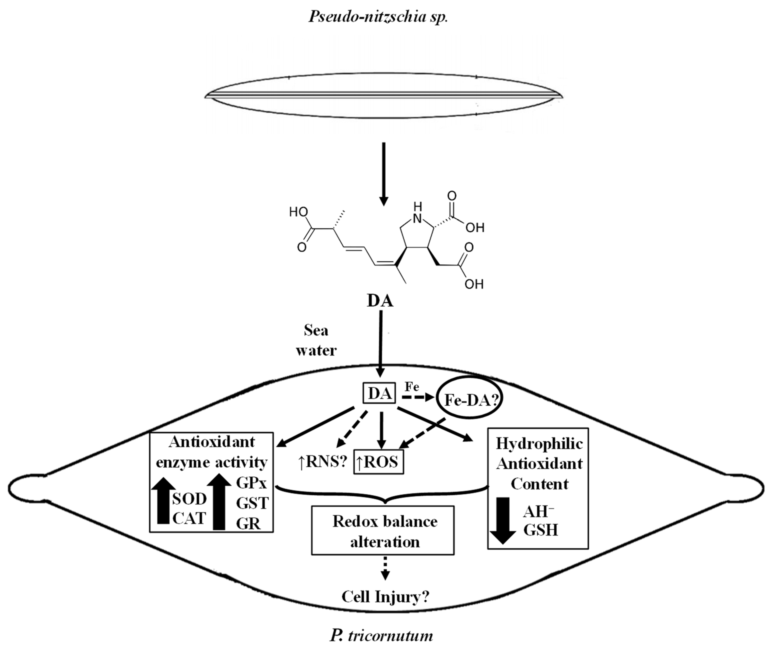 Life 13 00676 g008 Life 13 00676 g008
