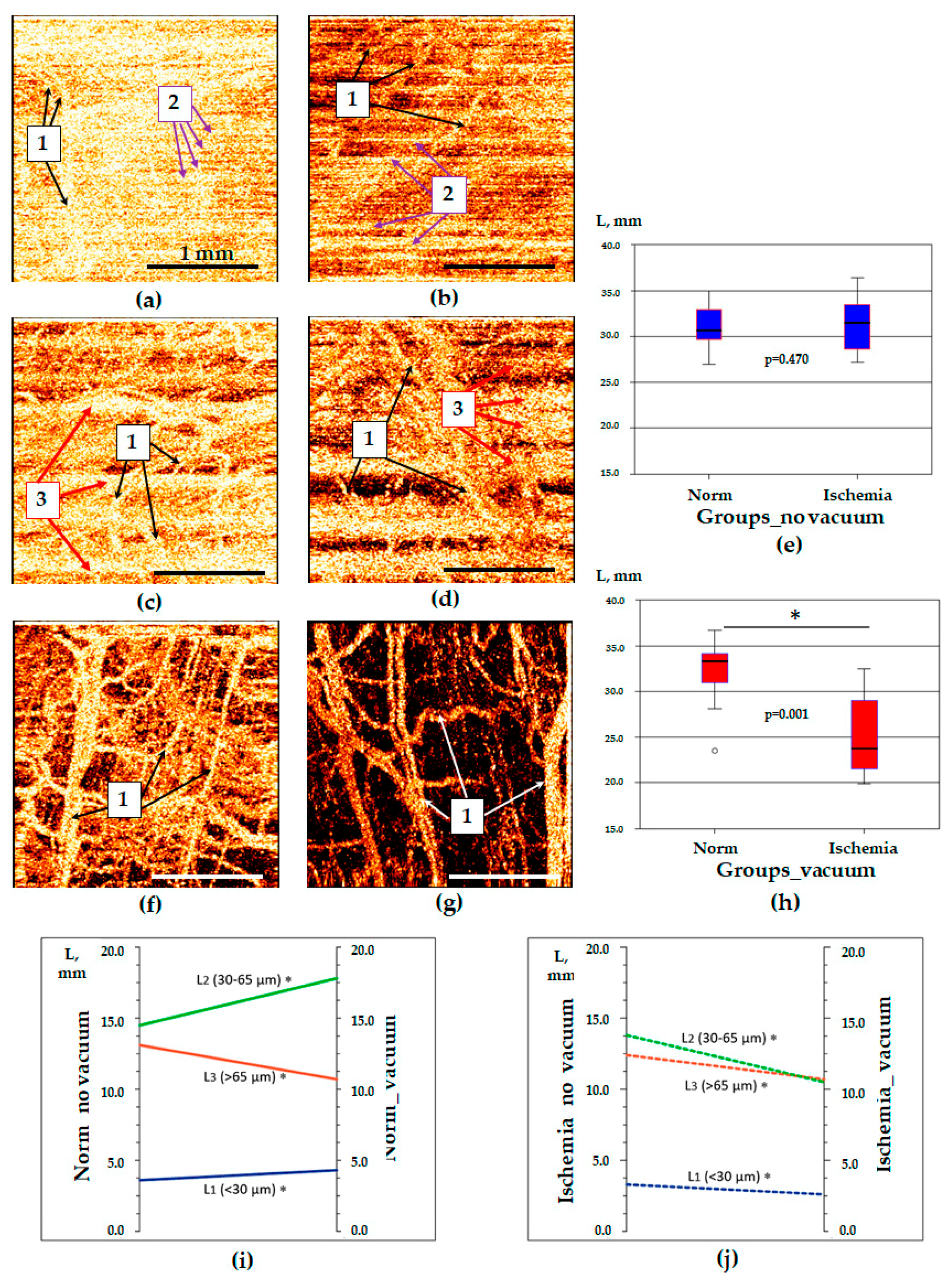 Life 13 00705 g003 Life 13 00705 g003