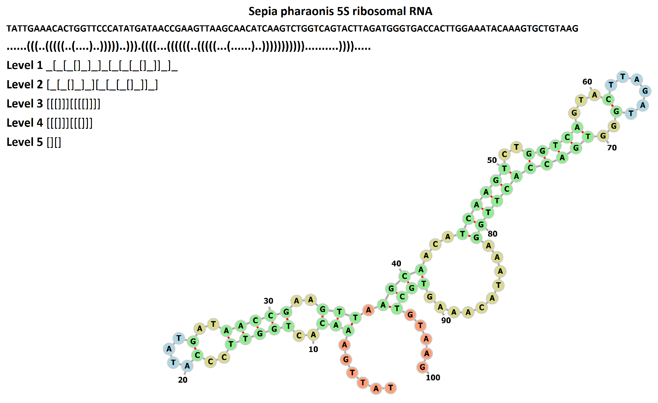 Life 13 00708 g0a1 Life 13 00708 g0a1