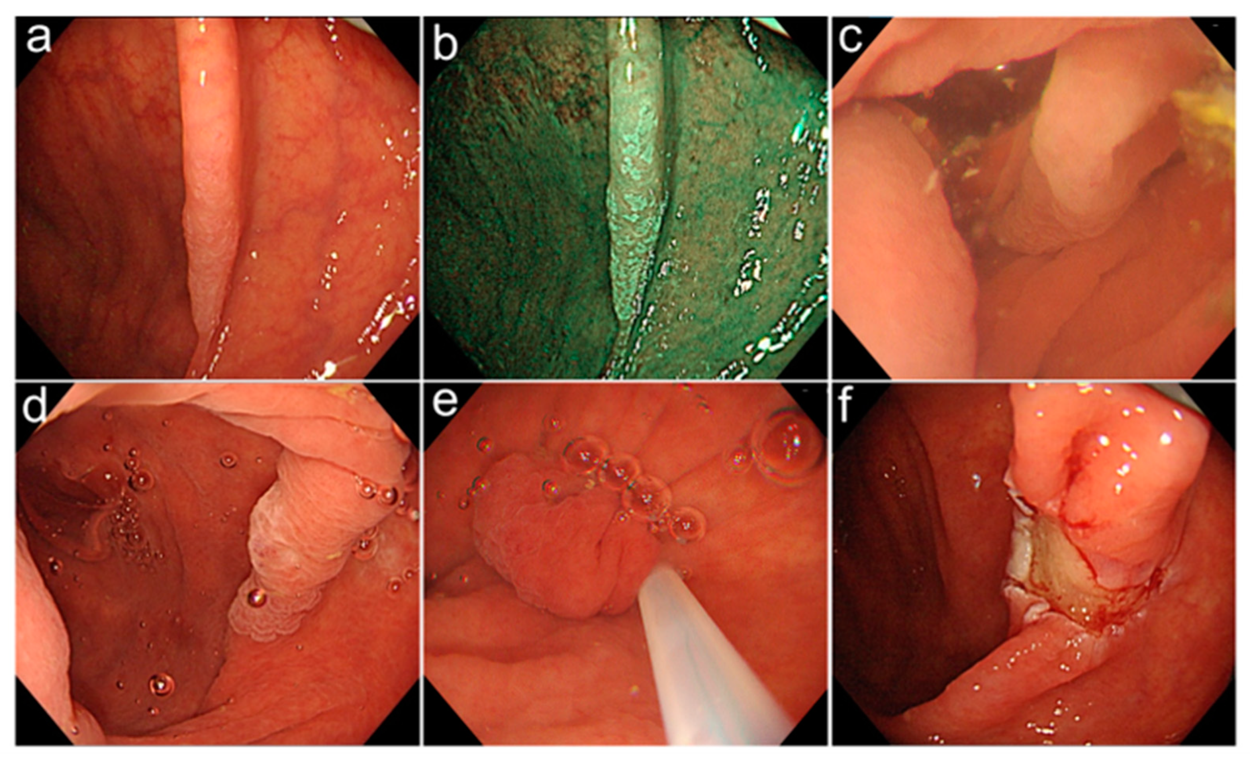 Life 13 00711 g001 Life 13 00711 g001