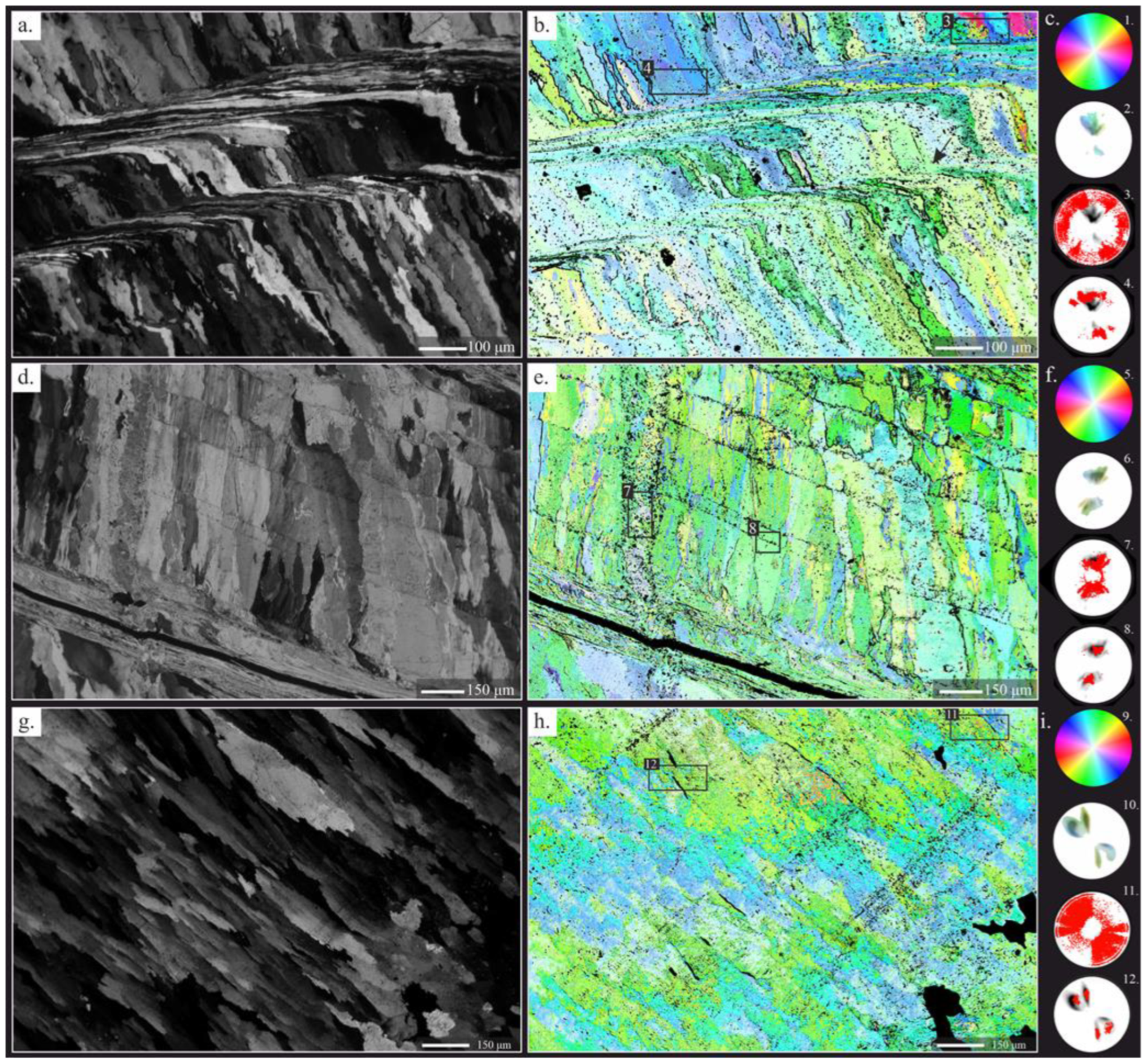 Life 13 00714 g004 Life 13 00714 g004