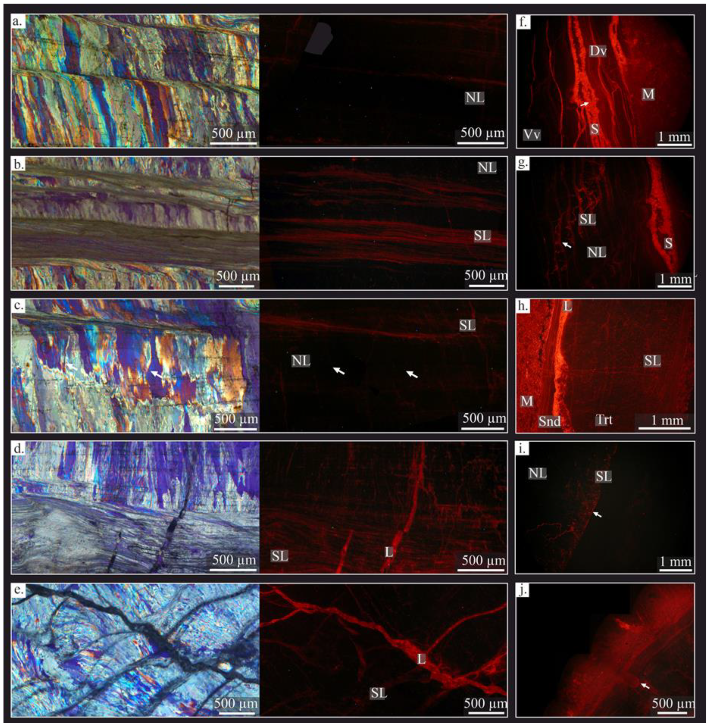 Life 13 00714 g005 Life 13 00714 g005