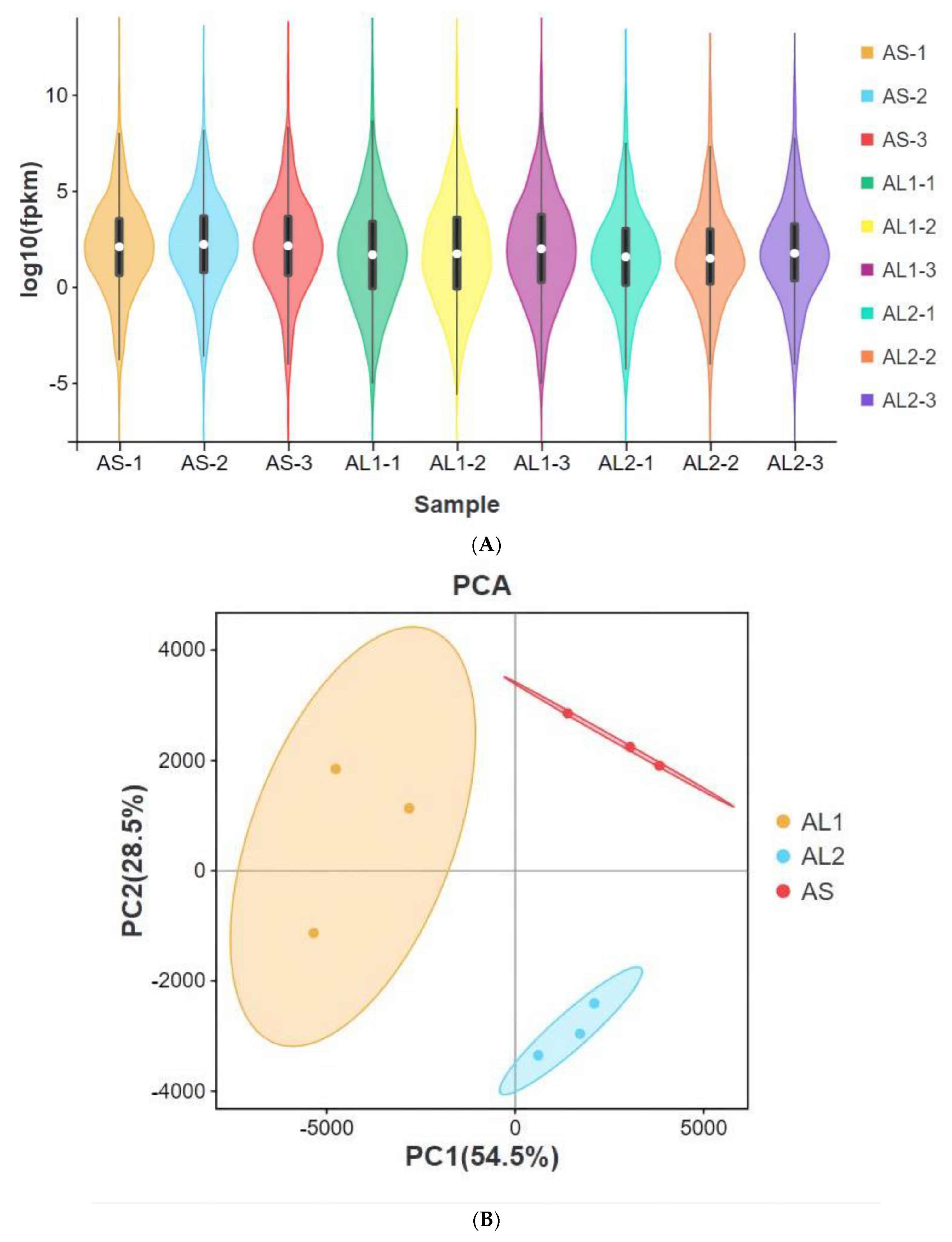 Life 13 00721 g001 Life 13 00721 g001