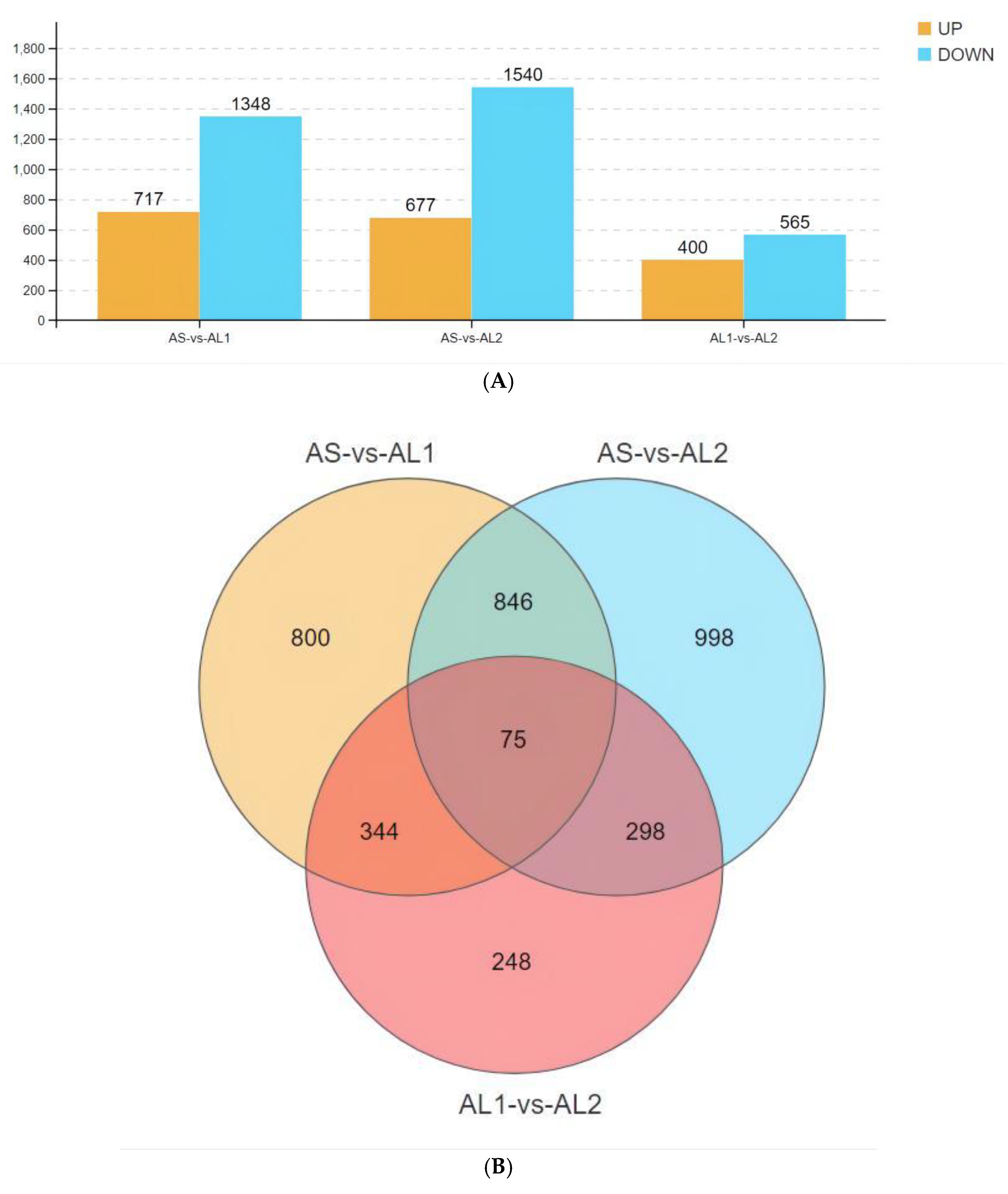 Life 13 00721 g002 Life 13 00721 g002