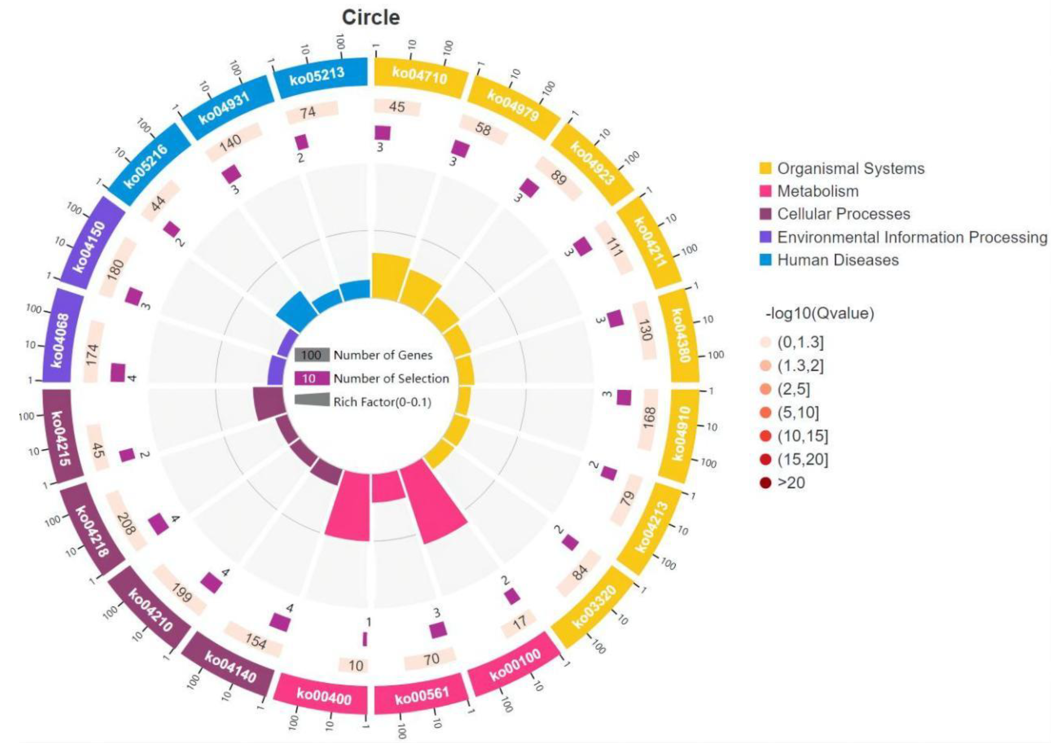 Life 13 00721 g005 Life 13 00721 g005