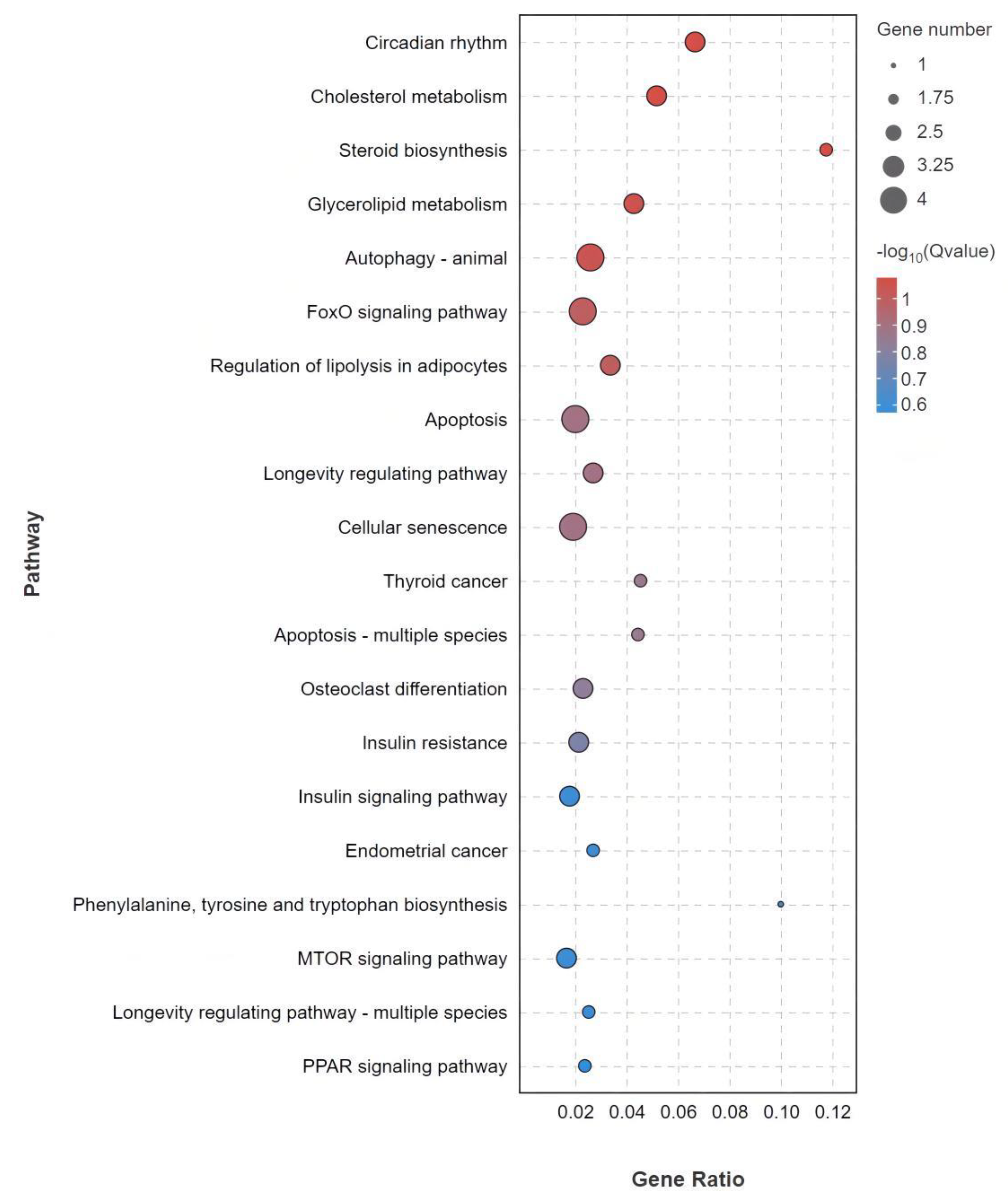 Life 13 00721 g006 Life 13 00721 g006