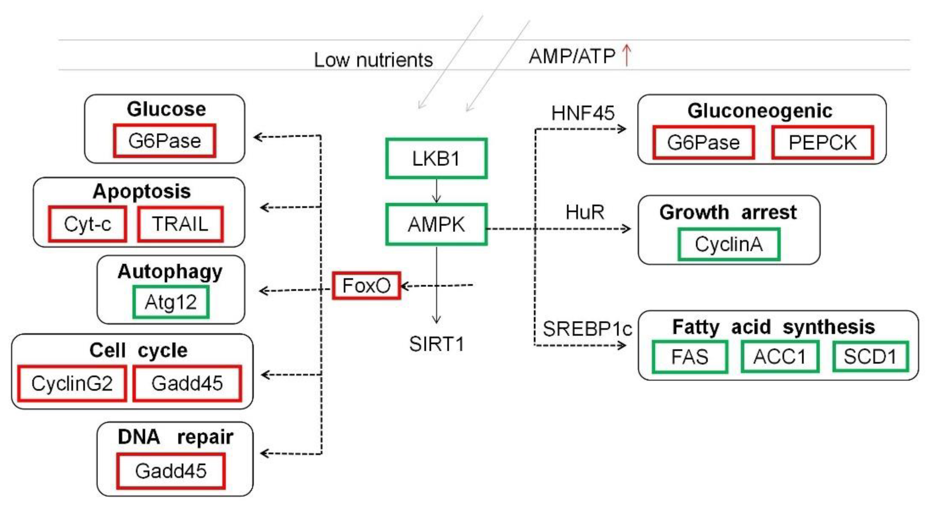 Life 13 00721 g008 Life 13 00721 g008