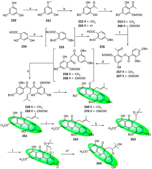 Perplexing Polyphenolics: The Isolations, Syntheses