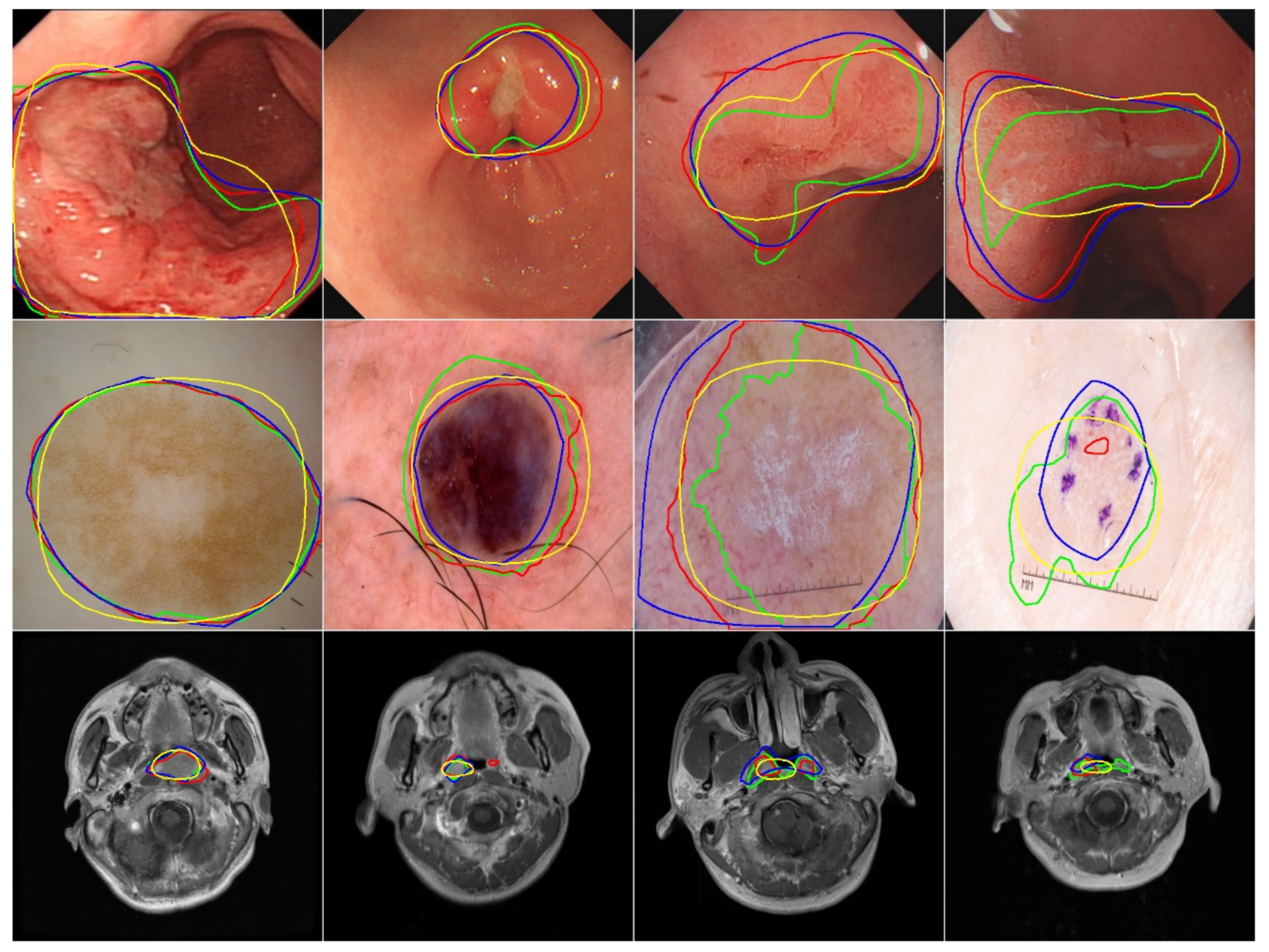 Life 13 00743 g007 Life 13 00743 g007