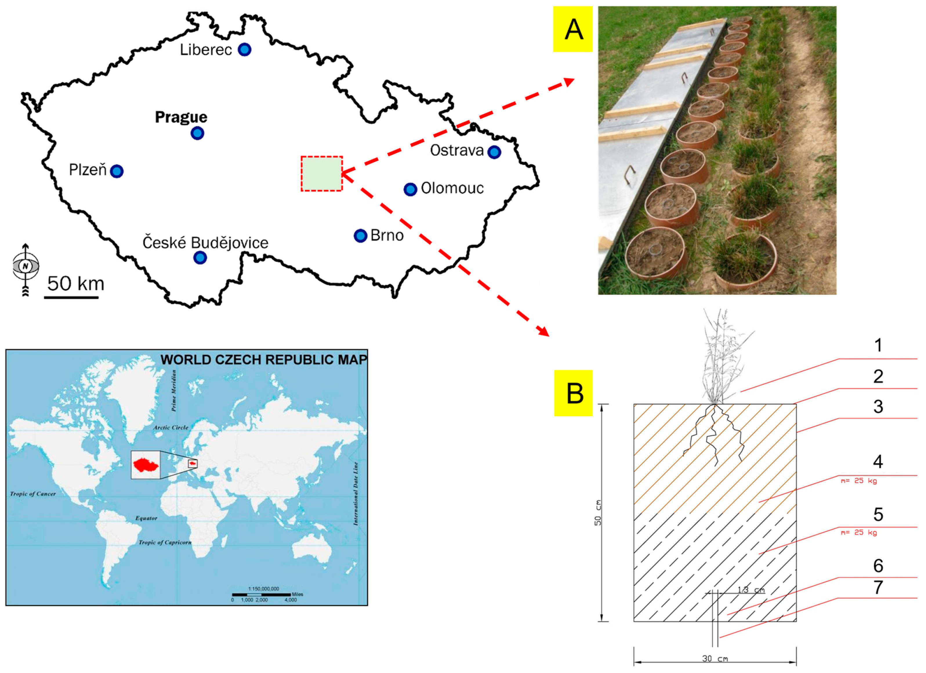 Life 13 00745 g001 Life 13 00745 g001