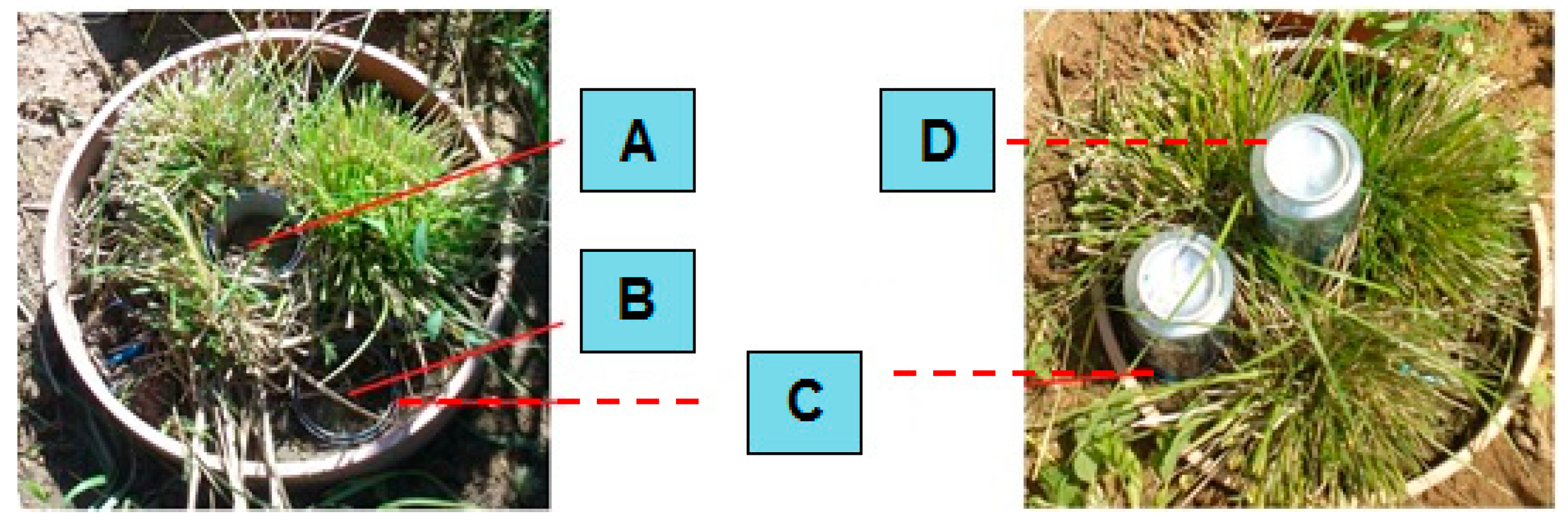 Life 13 00745 g003 Life 13 00745 g003