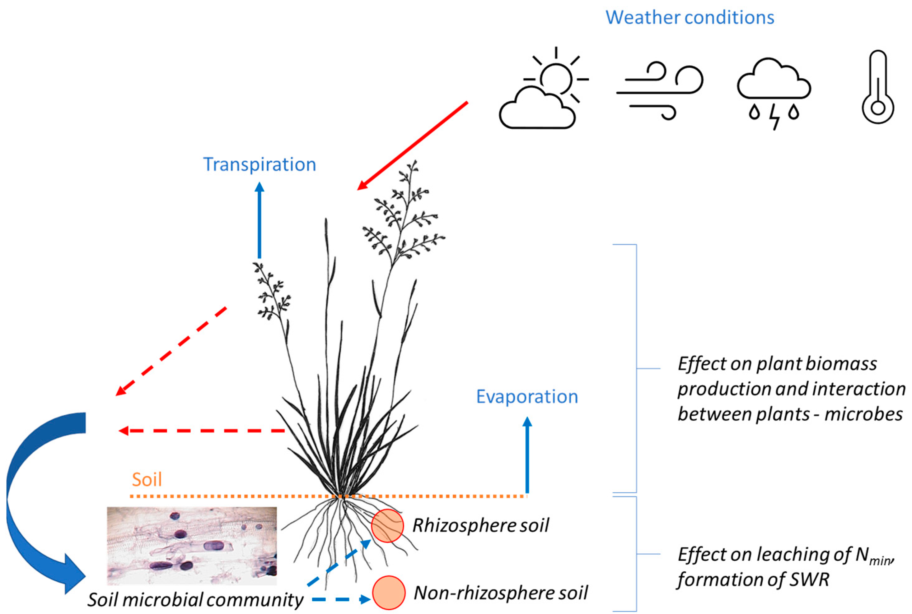 Life 13 00745 g009 Life 13 00745 g009