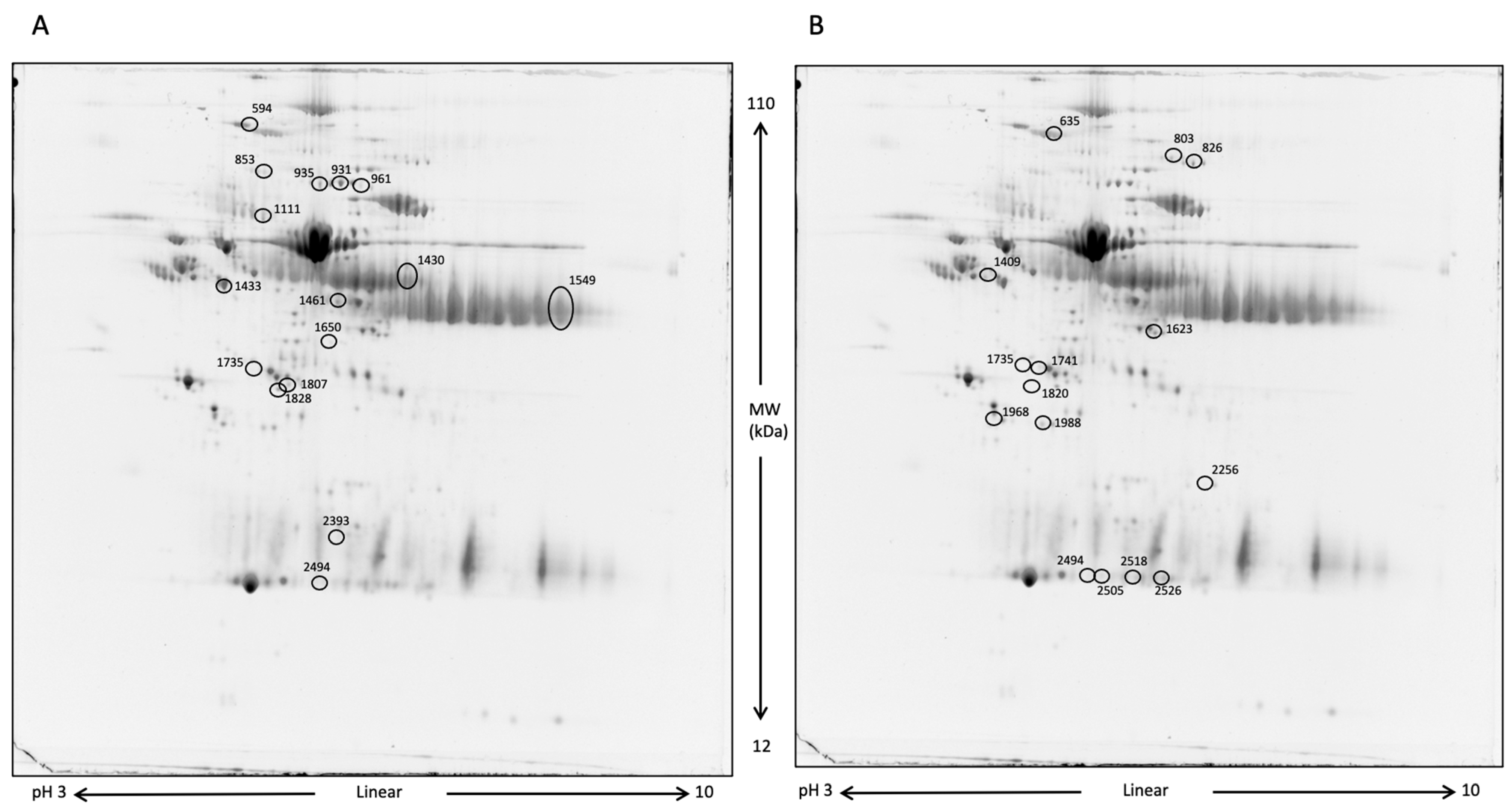 Life 13 00750 g005 Life 13 00750 g005