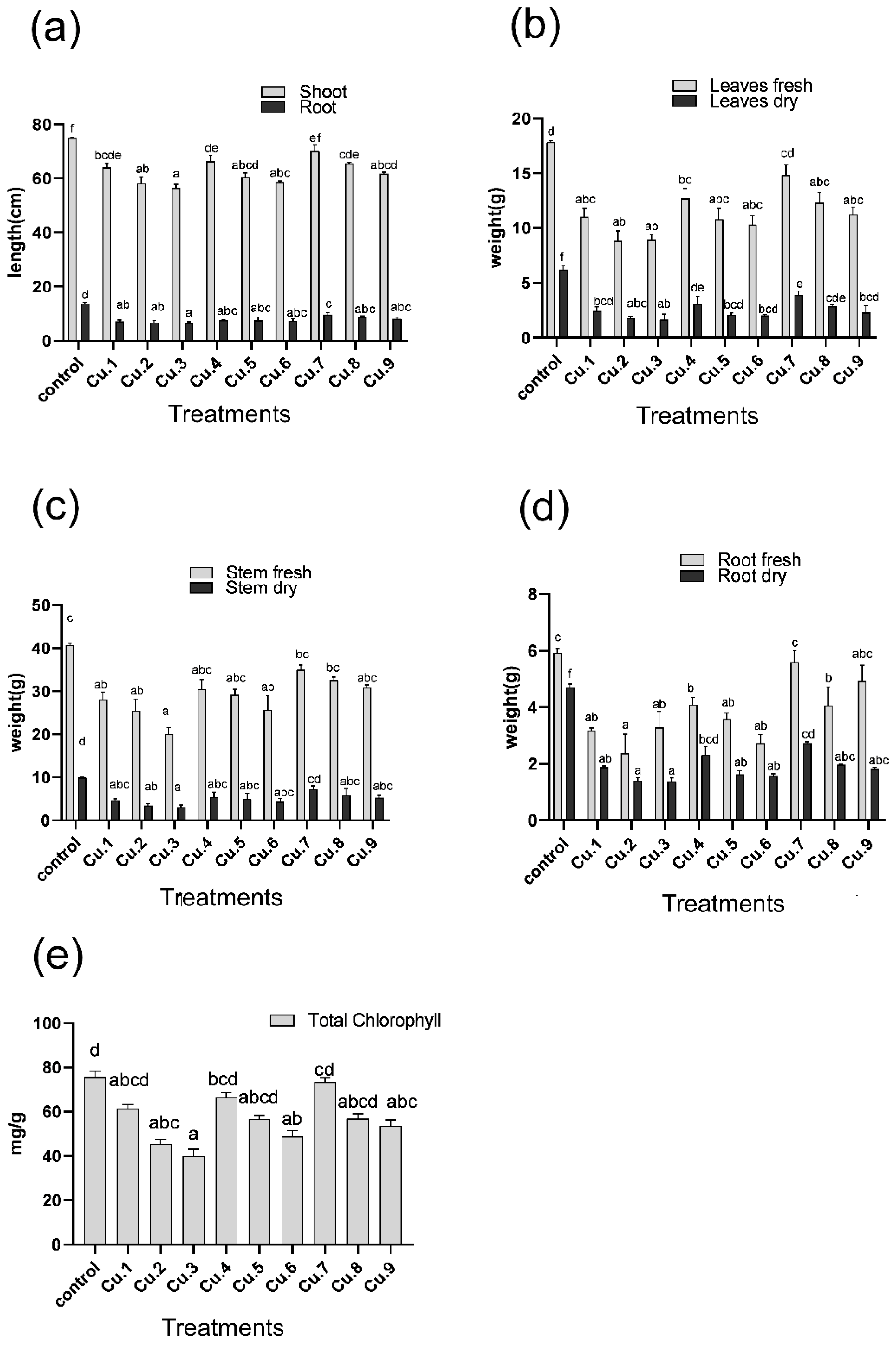 Life 13 00759 g001 Life 13 00759 g001