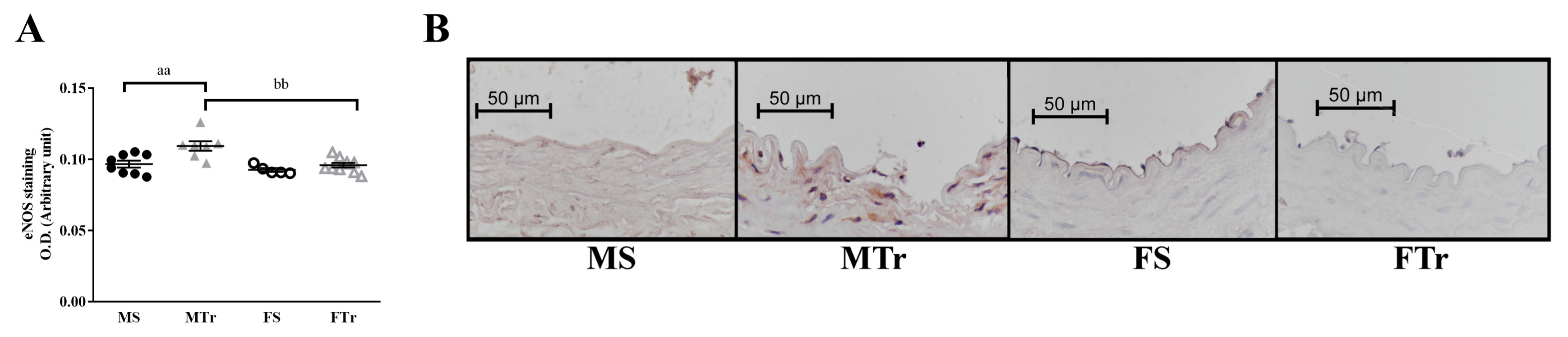 Life 13 00778 g005 Life 13 00778 g005