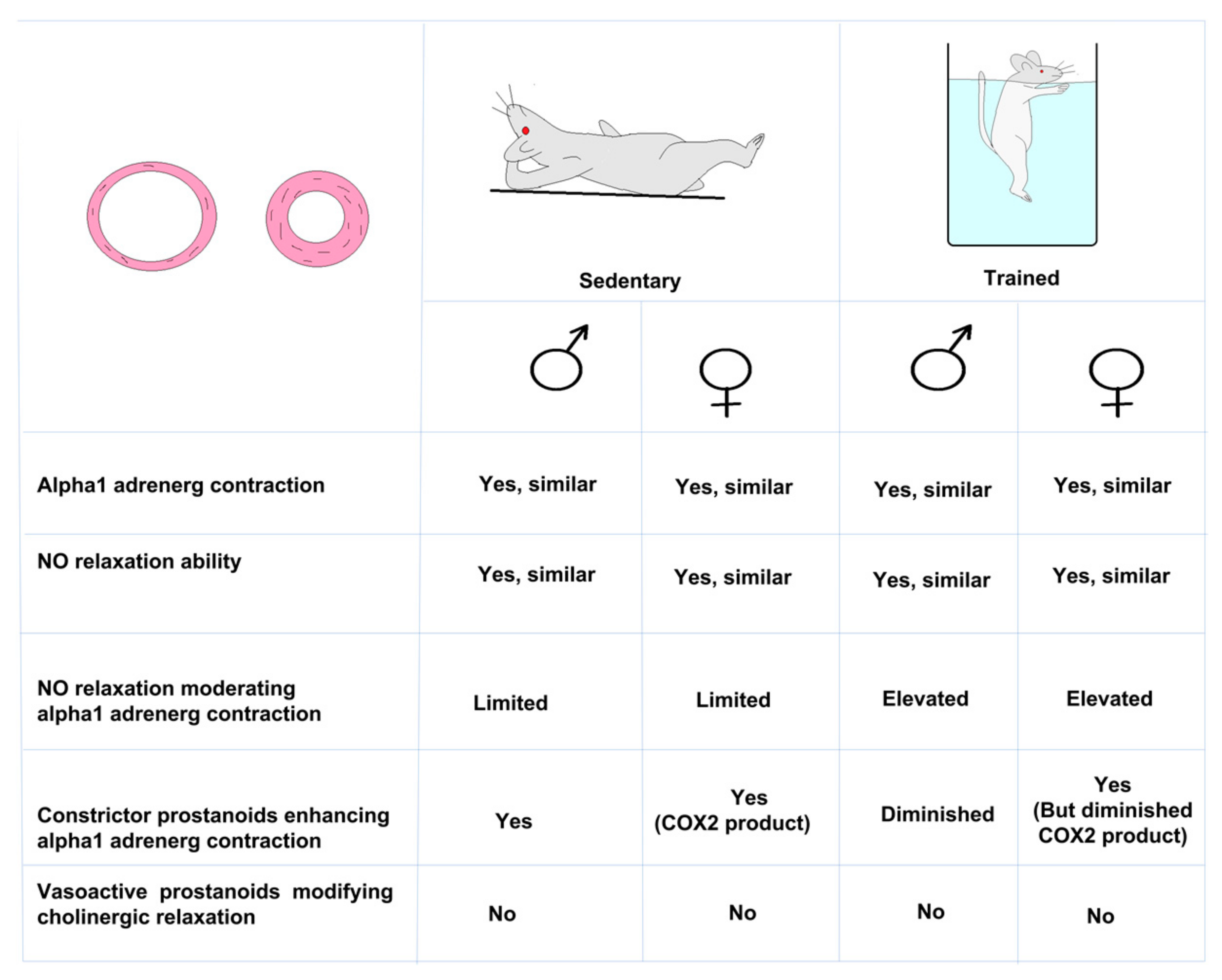 Life 13 00778 g006 Life 13 00778 g006