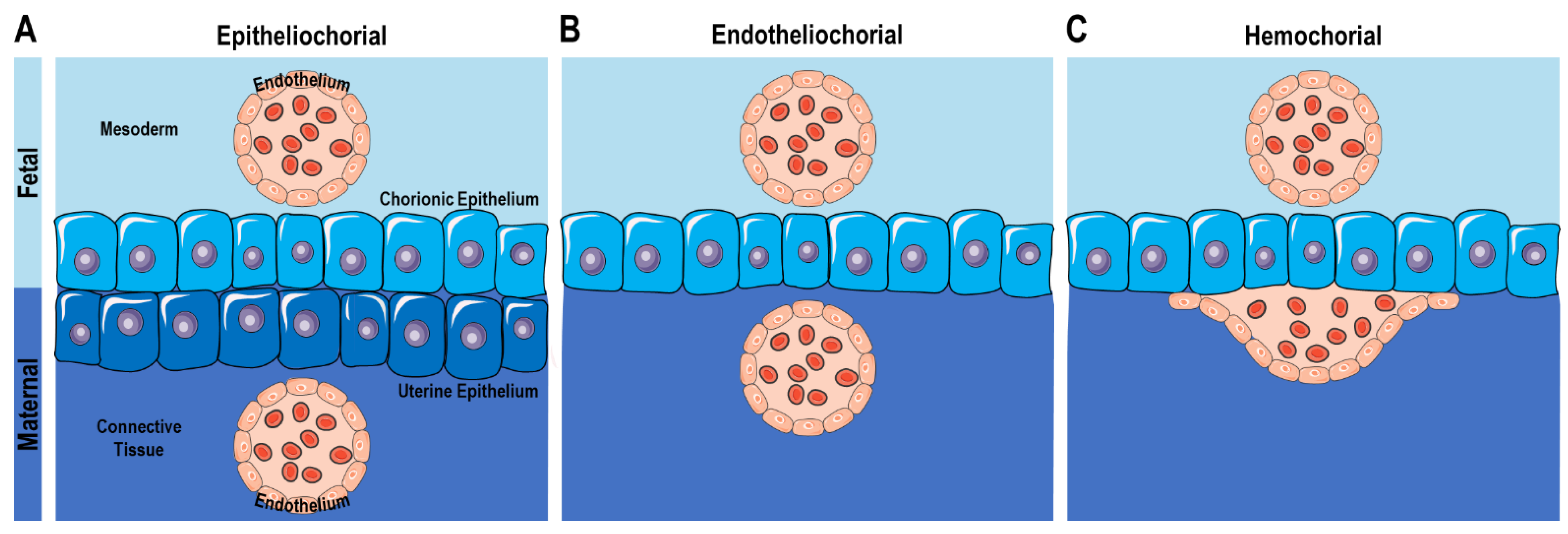 Life 13 00785 g001 Life 13 00785 g001