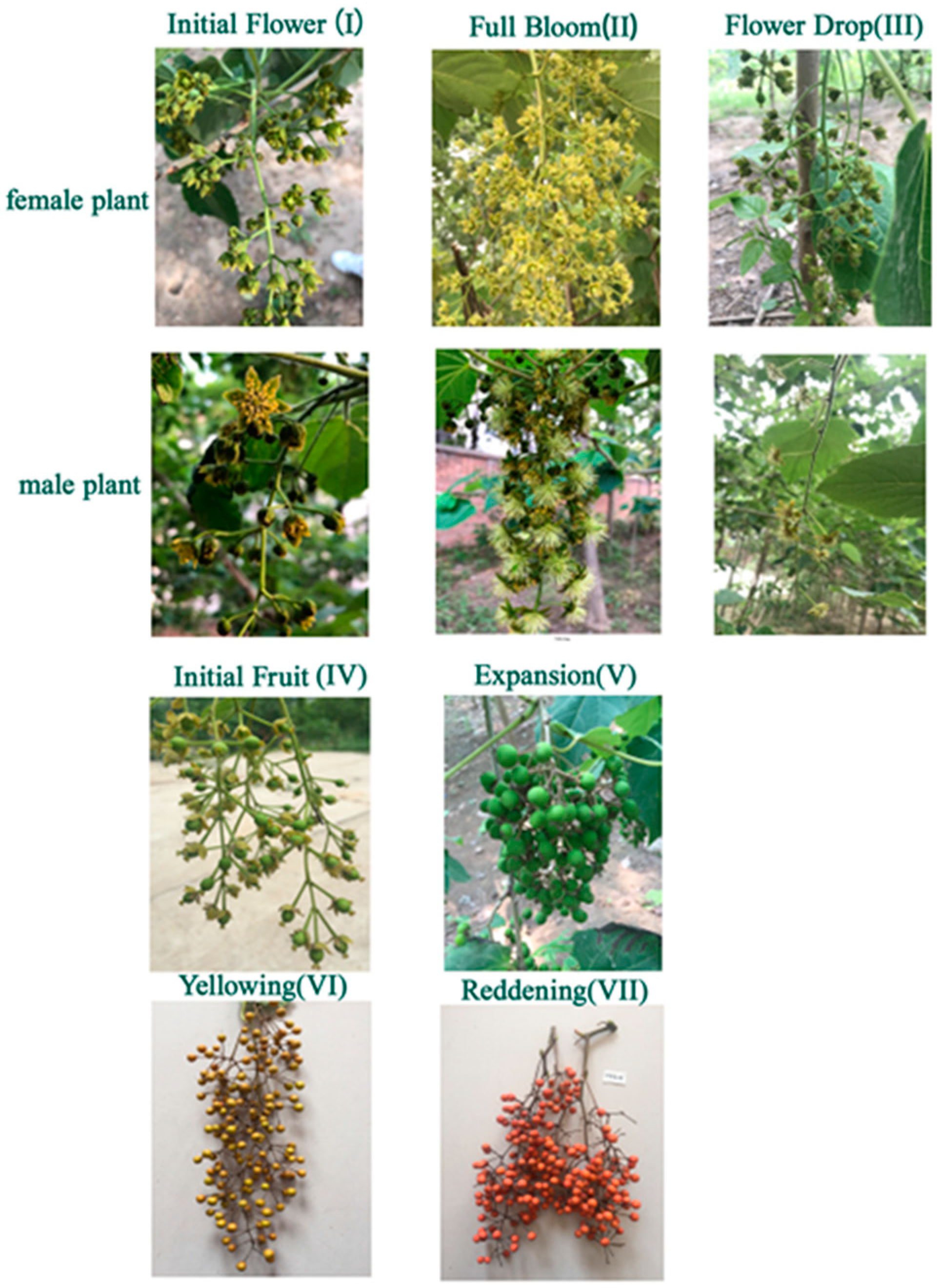 Life 13 00788 g002 Life 13 00788 g002