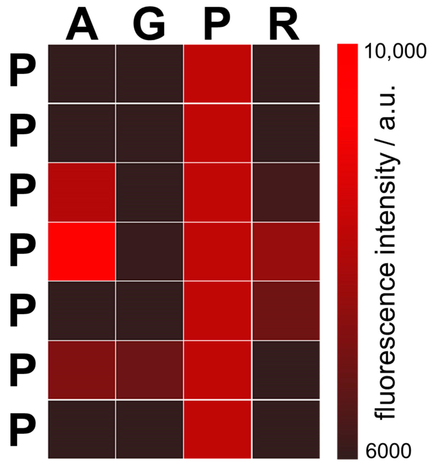 Life 13 00796 g005 Life 13 00796 g005