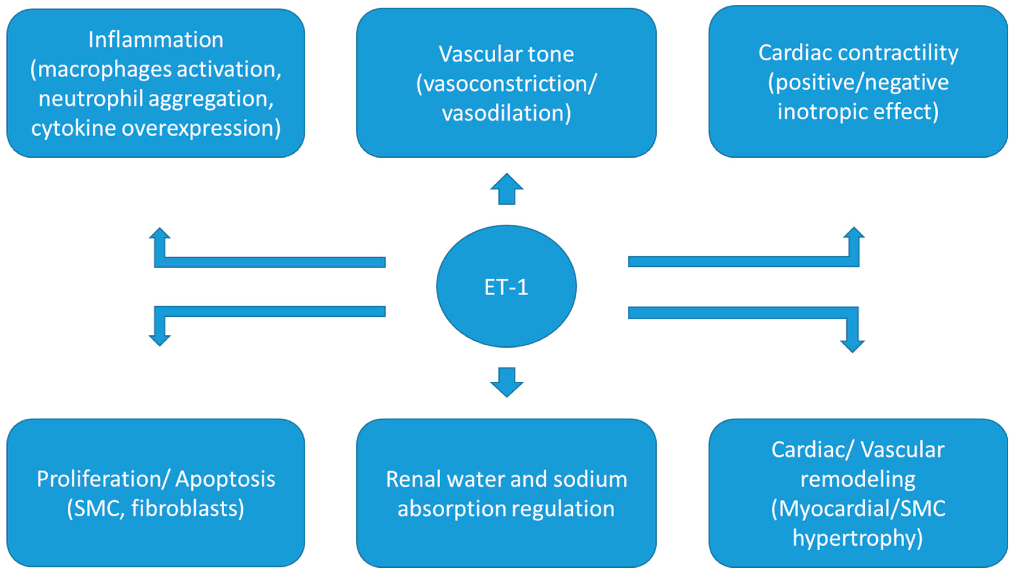 Life 13 00806 g001 Life 13 00806 g001