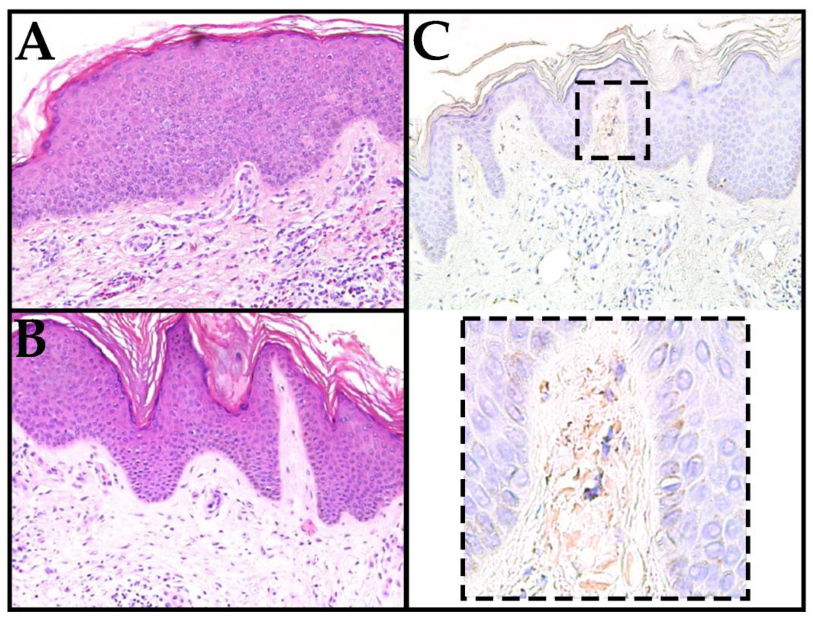 Life 13 00833 g002 Life 13 00833 g002
