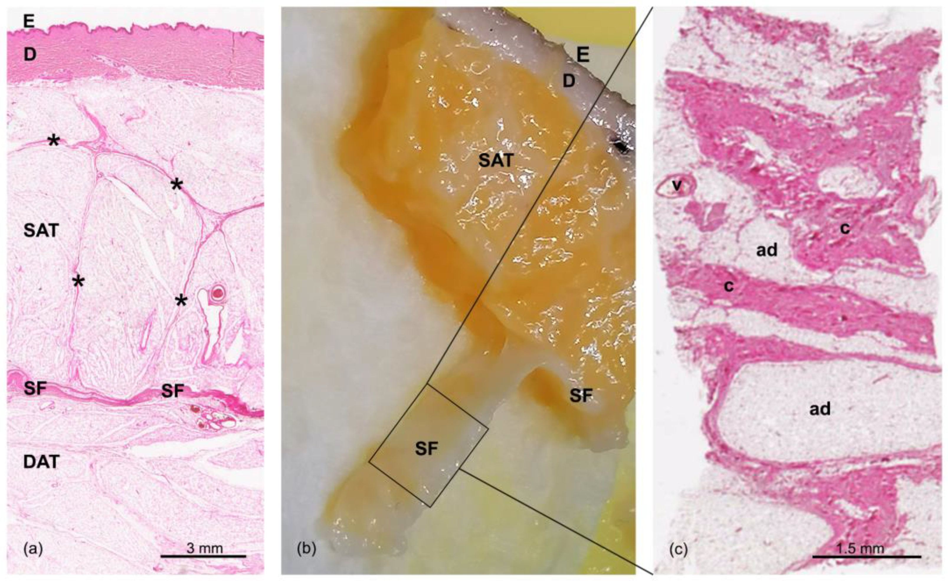 Life 13 00836 g001 Life 13 00836 g001